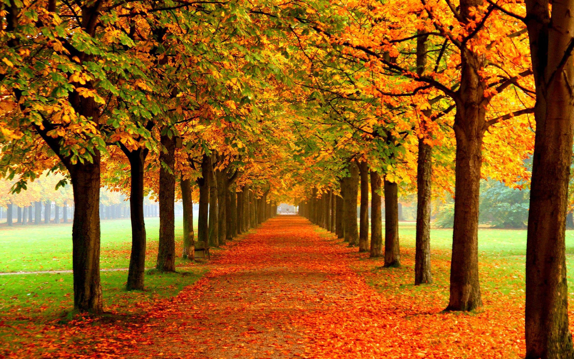 2560X1600 Fall Aesthetic Wallpaper and Background