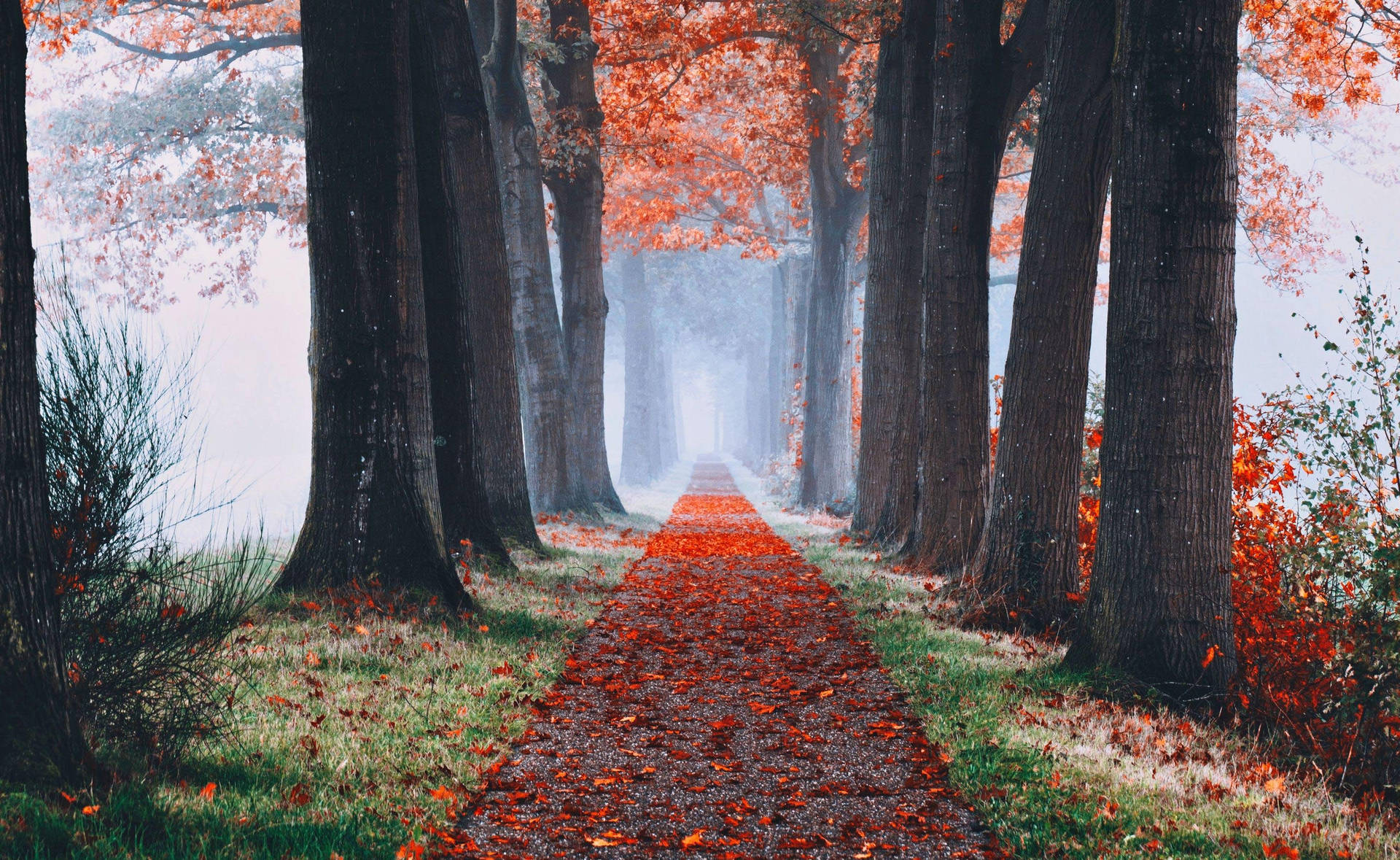 Fall Aesthetic 2880X1768 Wallpaper and Background Image