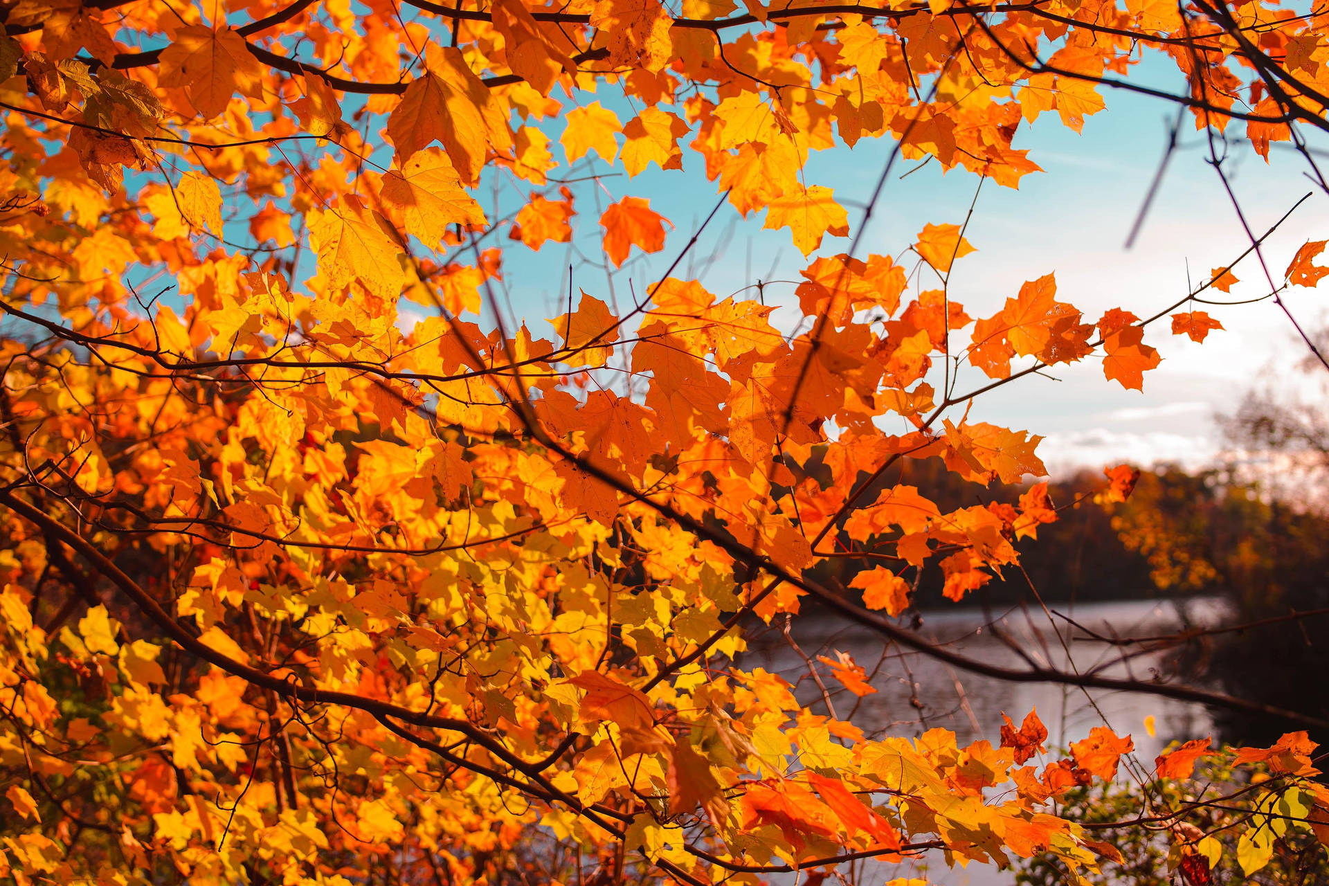 Fall Aesthetic 3000X2000 Wallpaper and Background Image
