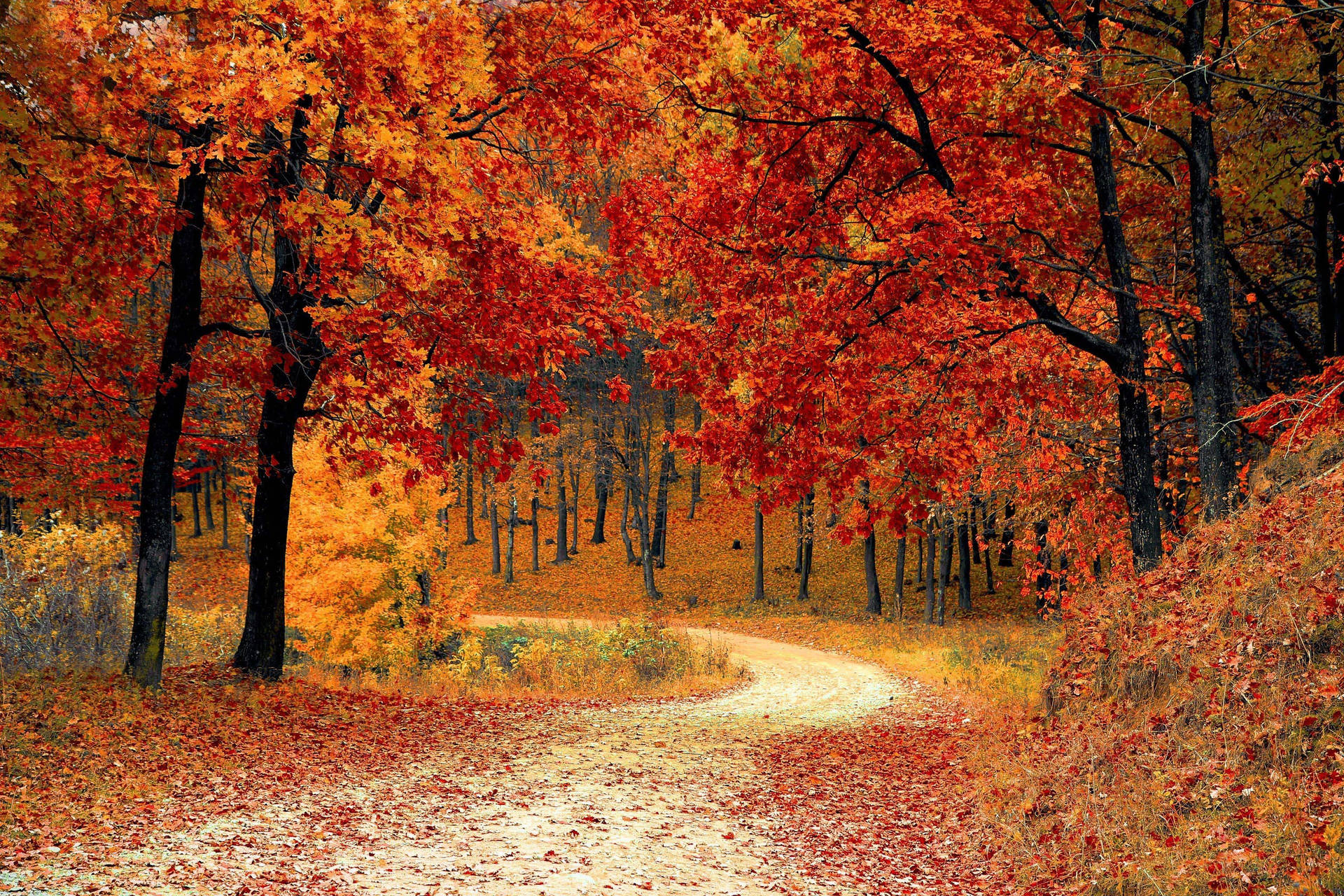 Fall Aesthetic 3456X2304 Wallpaper and Background Image