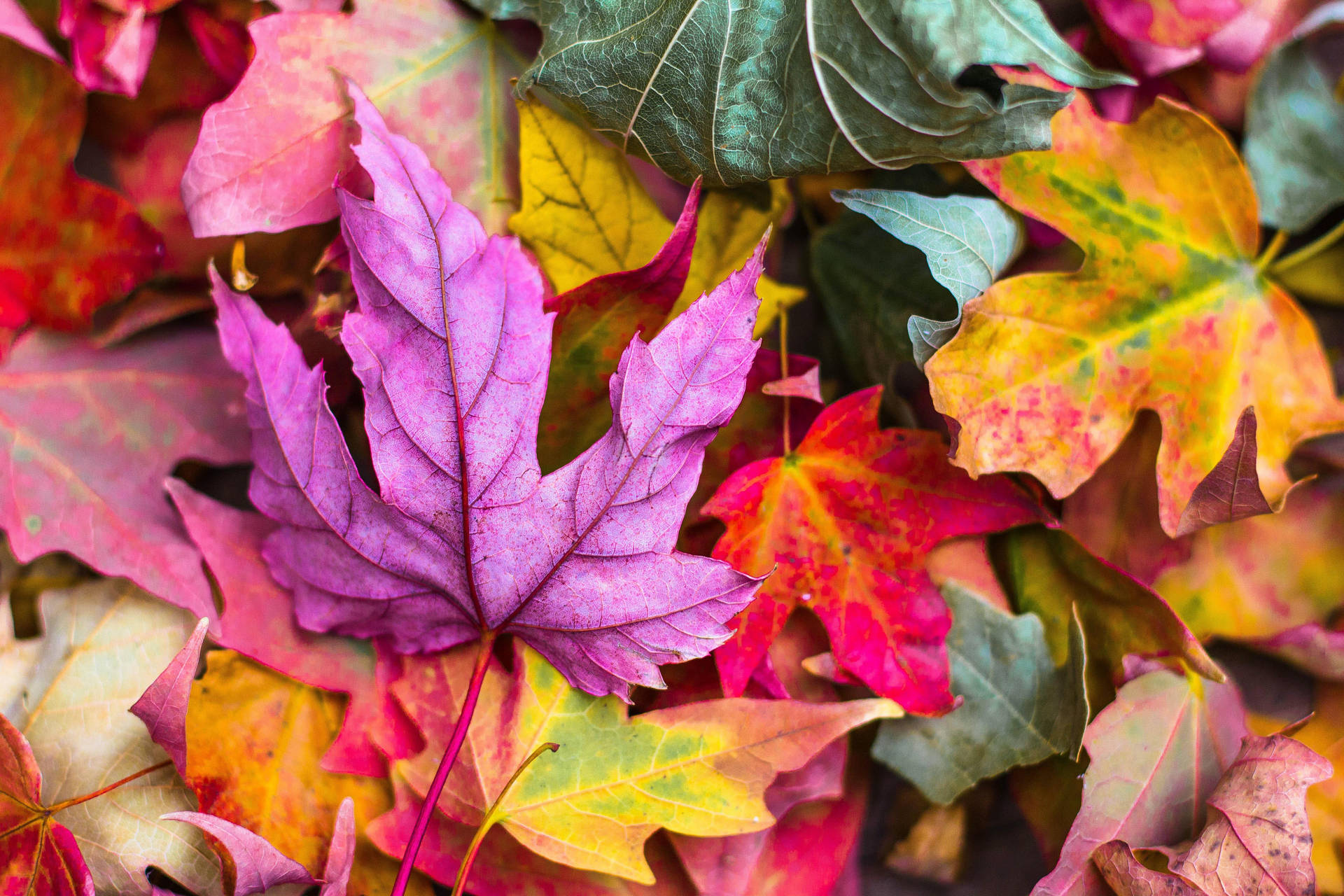 Fall Aesthetic 5184X3456 Wallpaper and Background Image