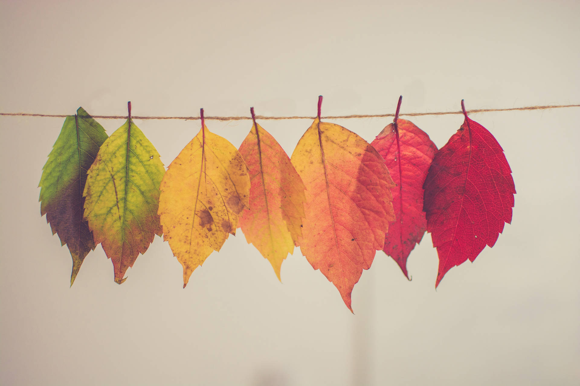 Fall Aesthetic 6000X4000 Wallpaper and Background Image
