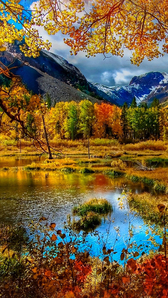 Fall Iphone 640X1136 Wallpaper and Background Image