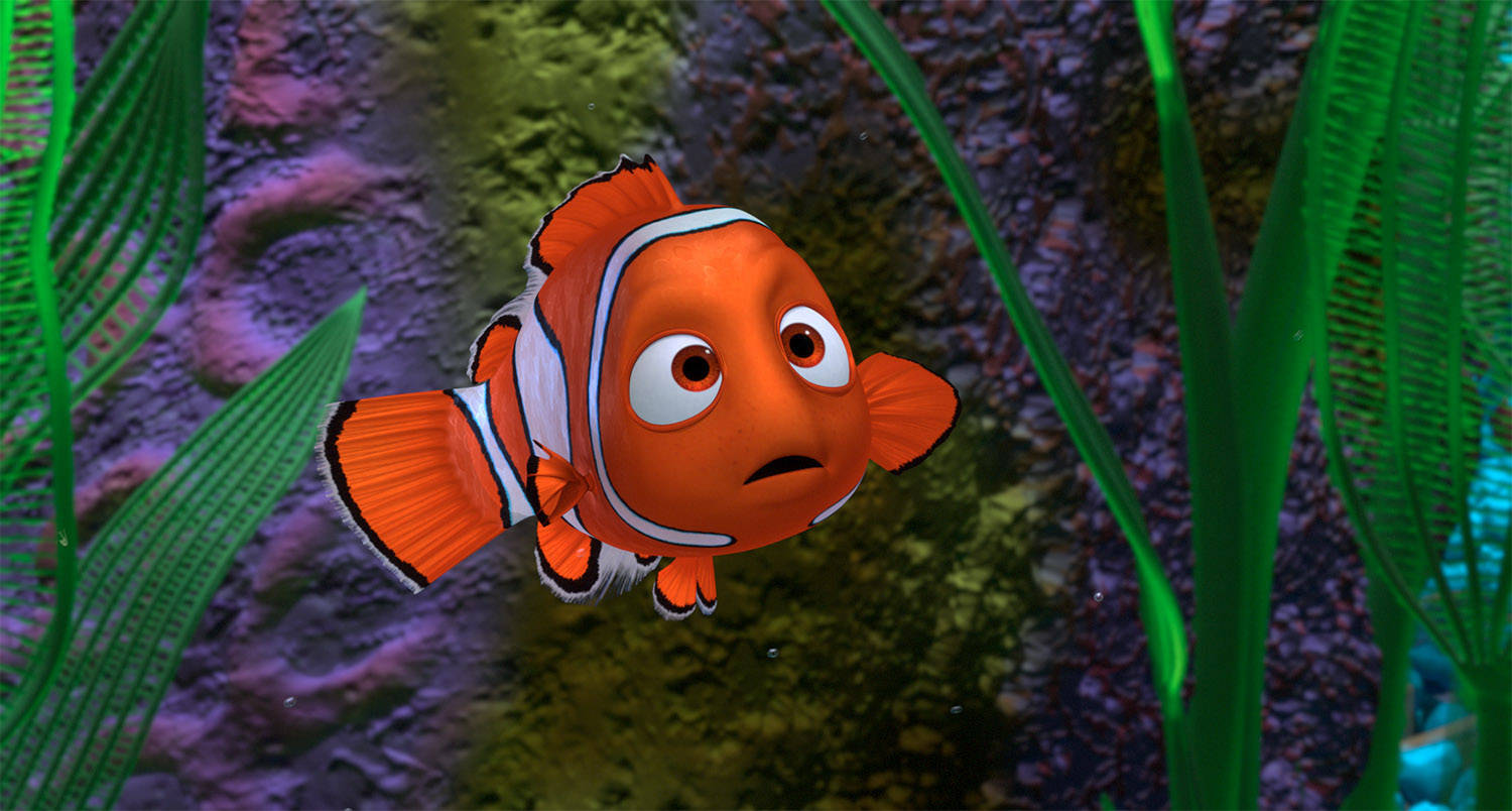1500X804 Finding Nemo Wallpaper and Background