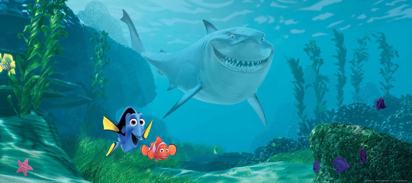 1600X713 Finding Nemo Wallpaper and Background