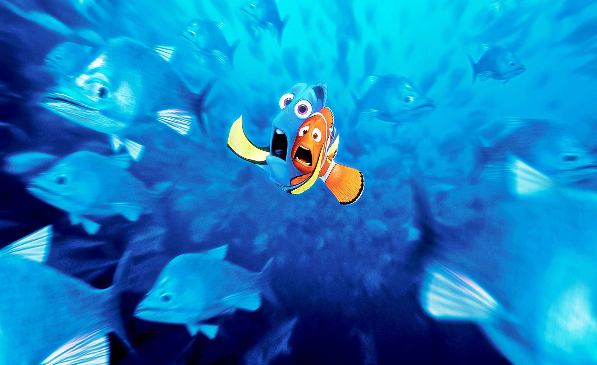 2668X1632 Finding Nemo Wallpaper and Background