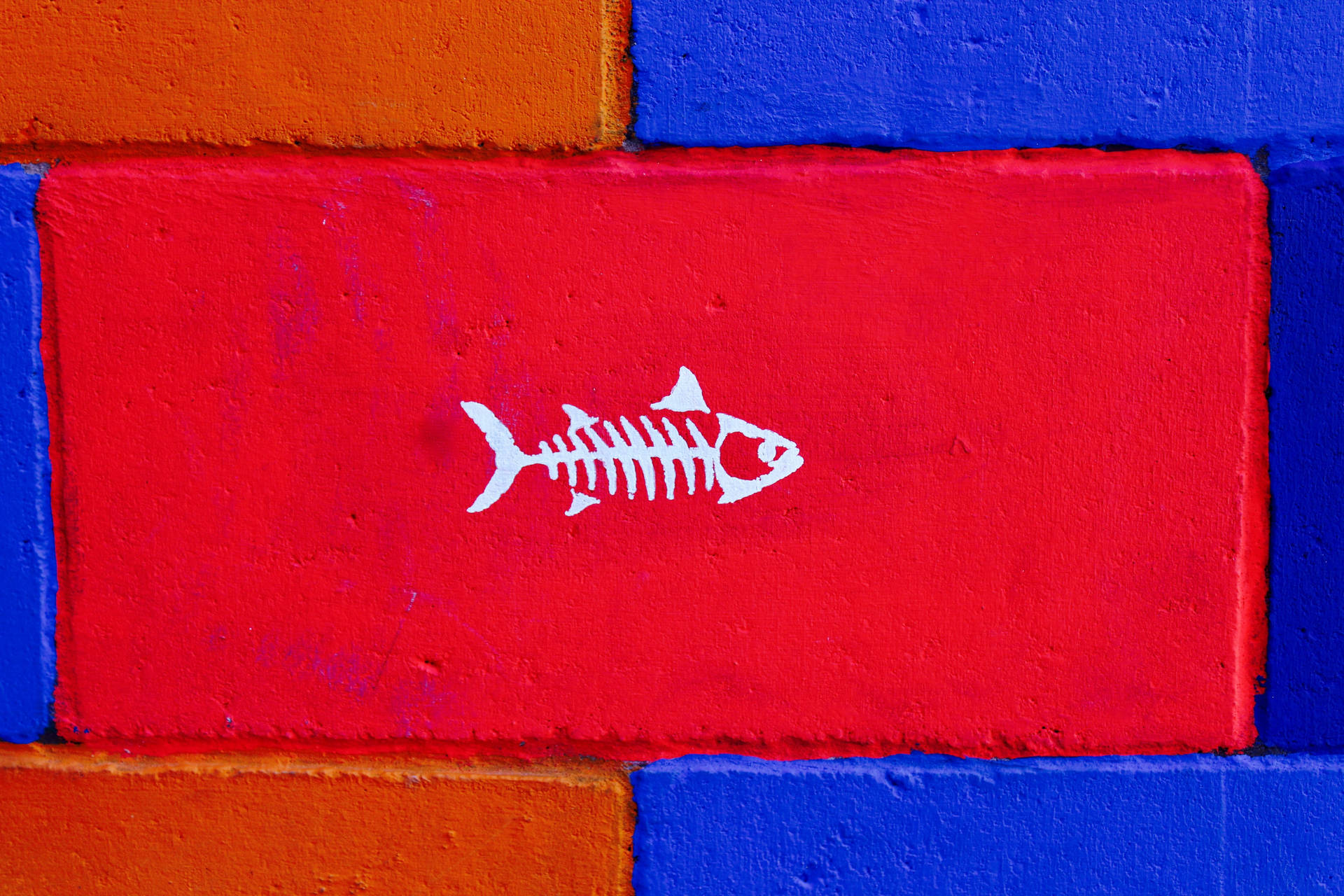 Fish 5184X3456 wallpaper