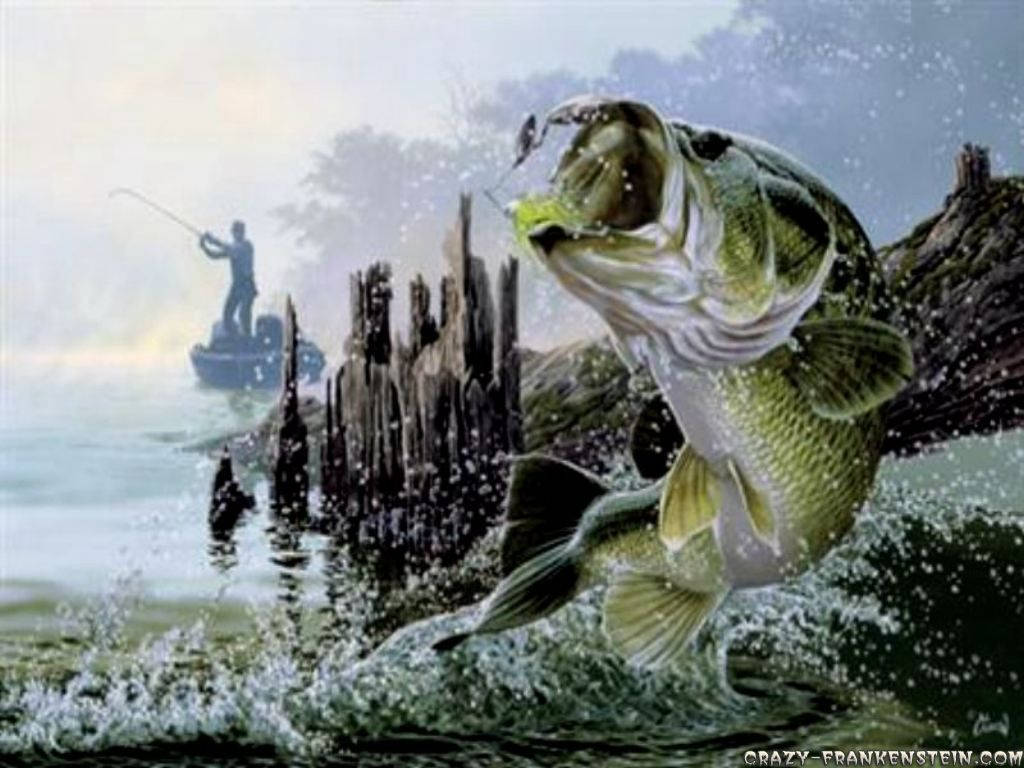 Fishing 1024X768 Wallpaper and Background Image