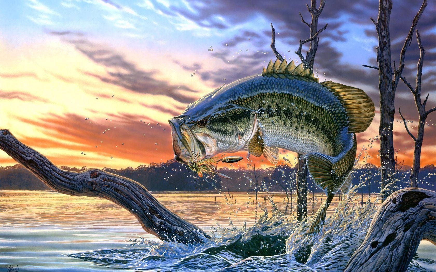 1680X1050 Fishing Wallpaper and Background
