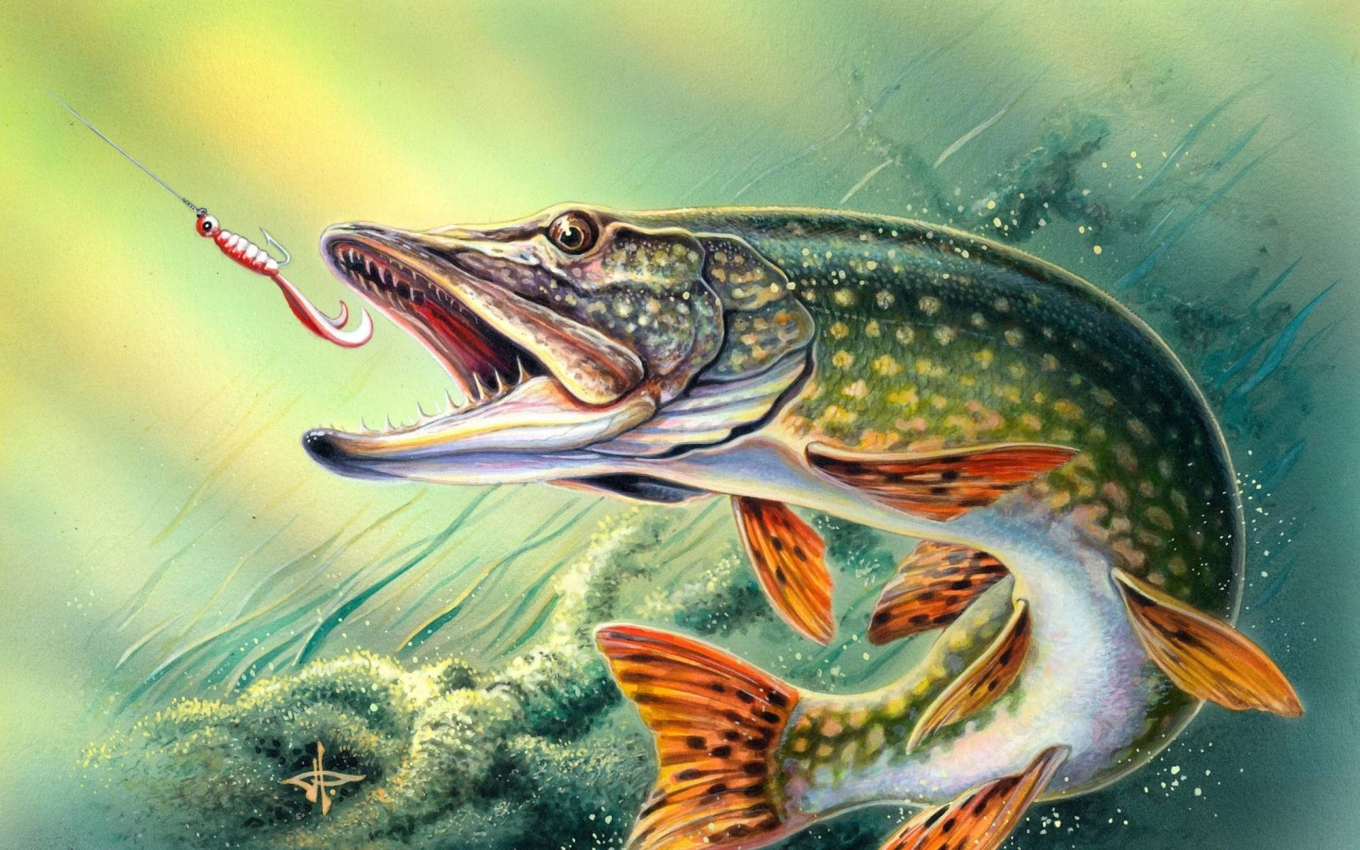 Fishing 2560X1600 Wallpaper and Background Image