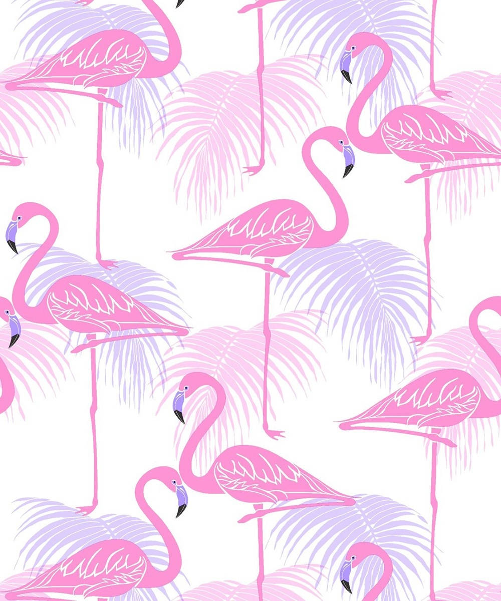 Flamingo 1000X1200 Wallpaper and Background Image