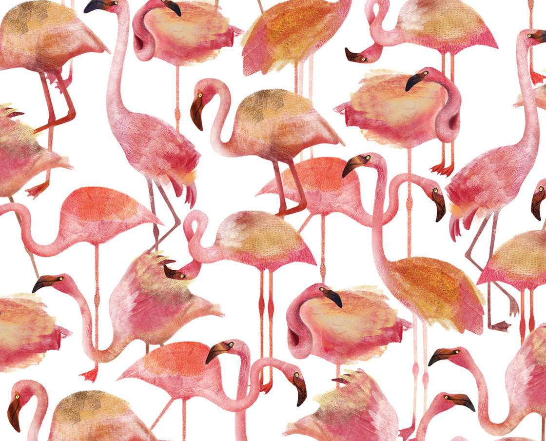 1120X904 Flamingo Wallpaper and Background