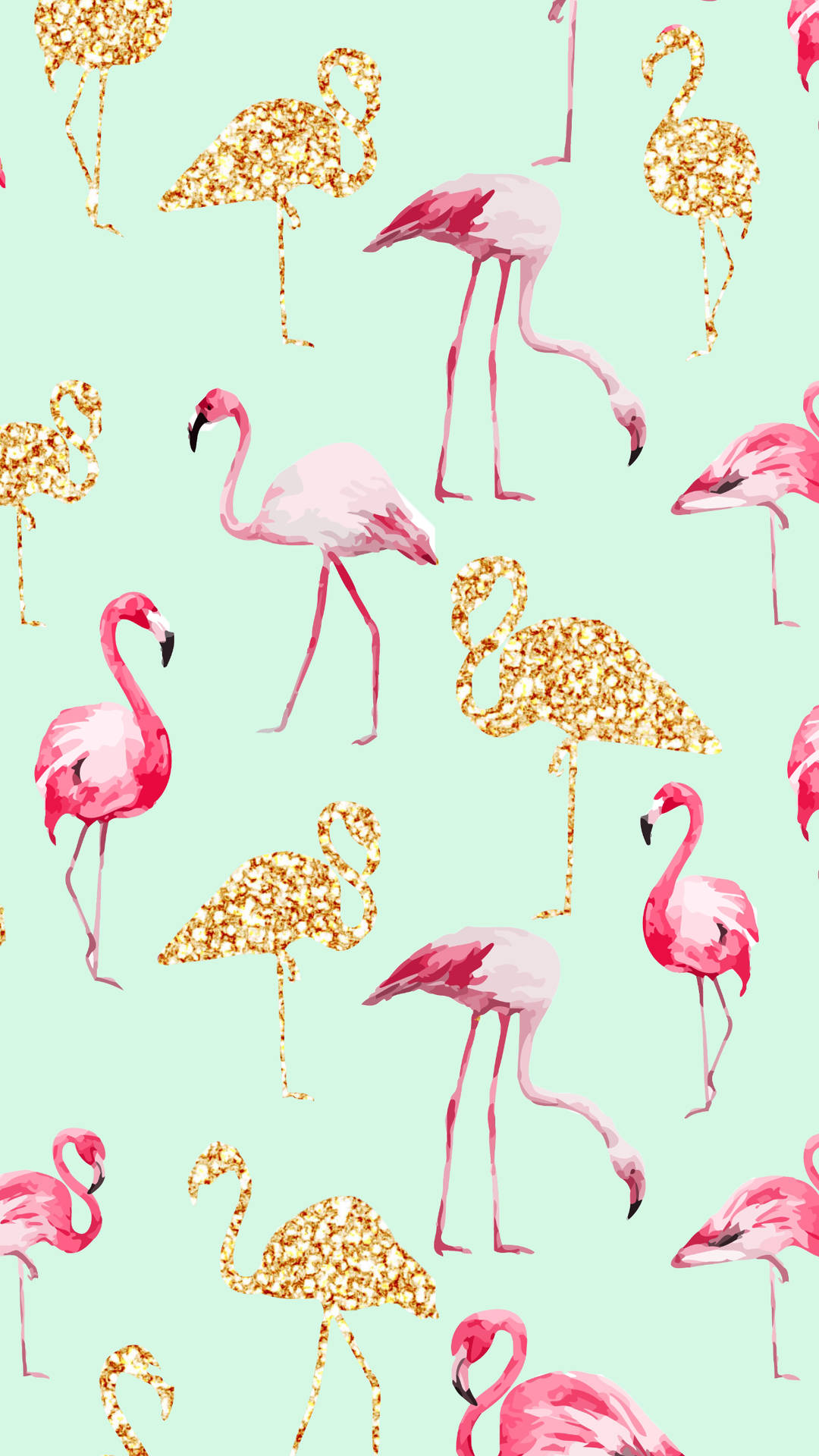 Flamingo 1242X2208 Wallpaper and Background Image