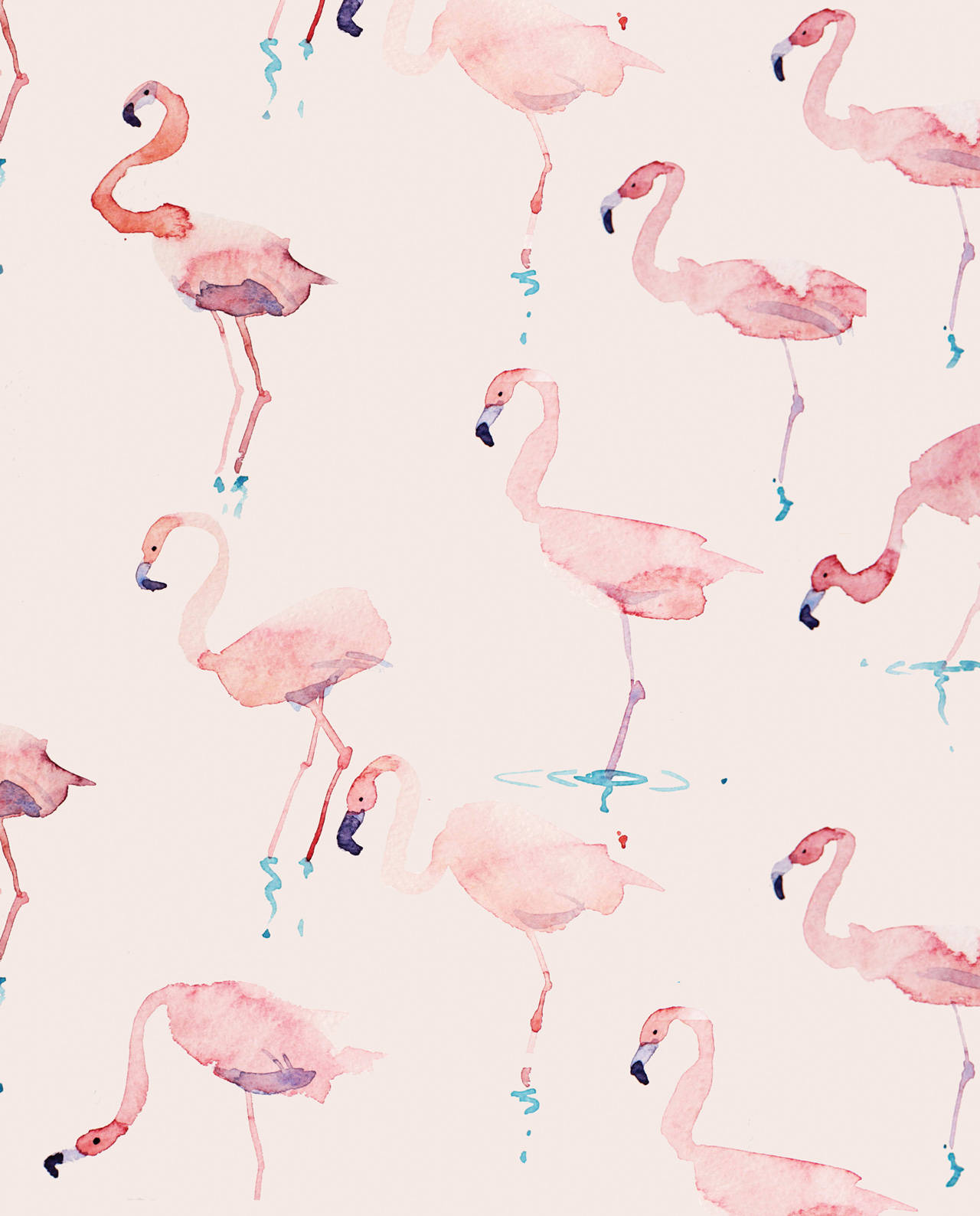 1280X1588 Flamingo Wallpaper and Background