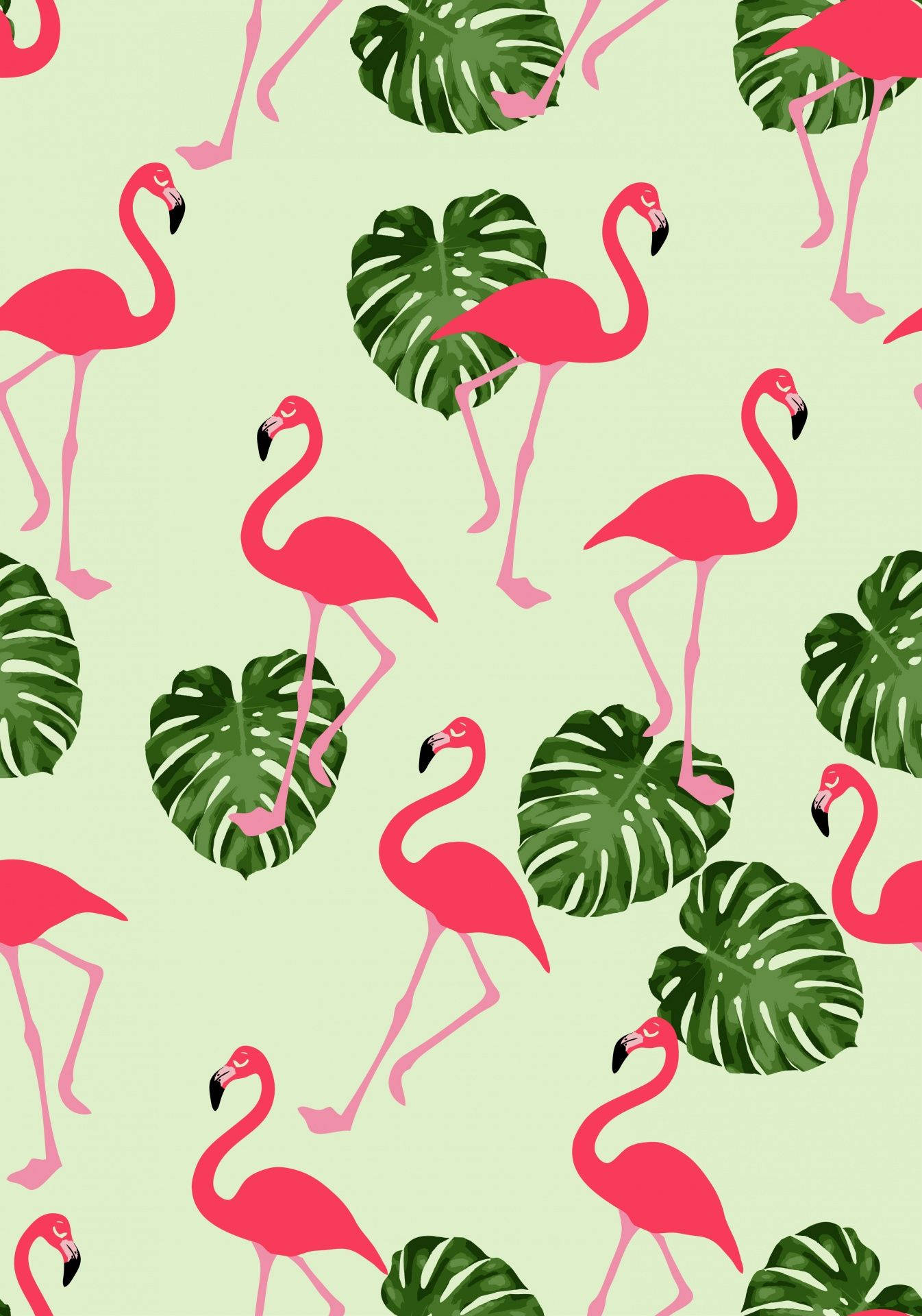 1346X1920 Flamingo Wallpaper and Background