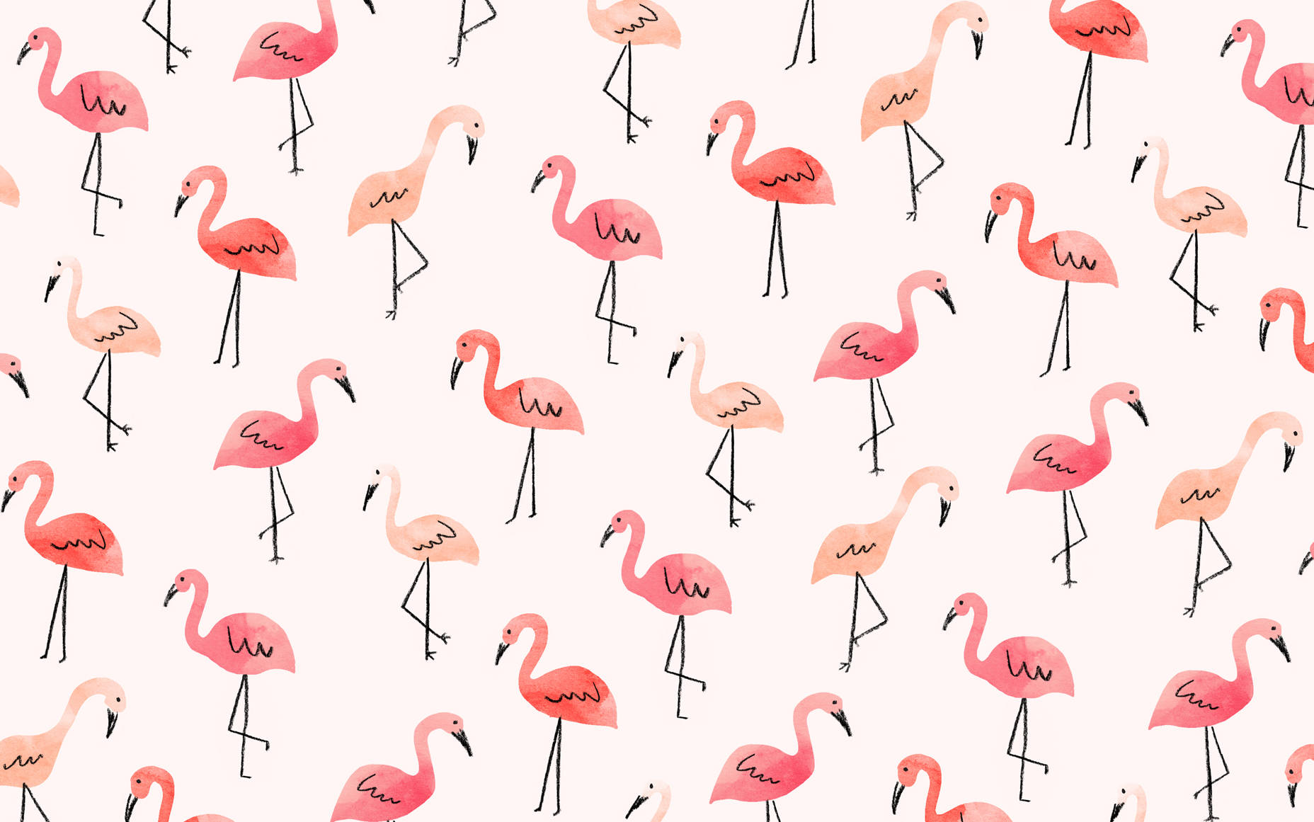 1856X1161 Flamingo Wallpaper and Background