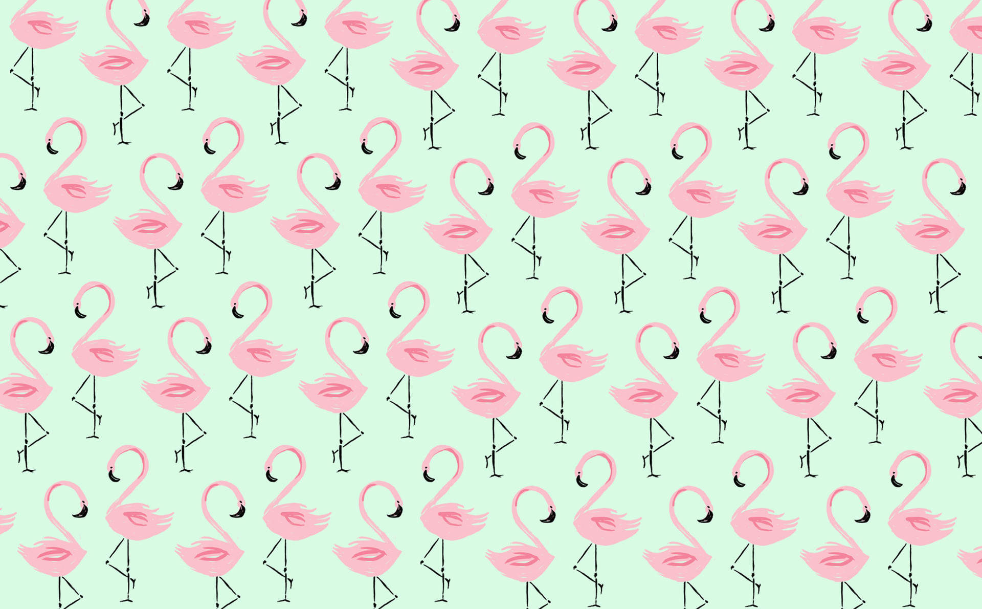 2800X1736 Flamingo Wallpaper and Background