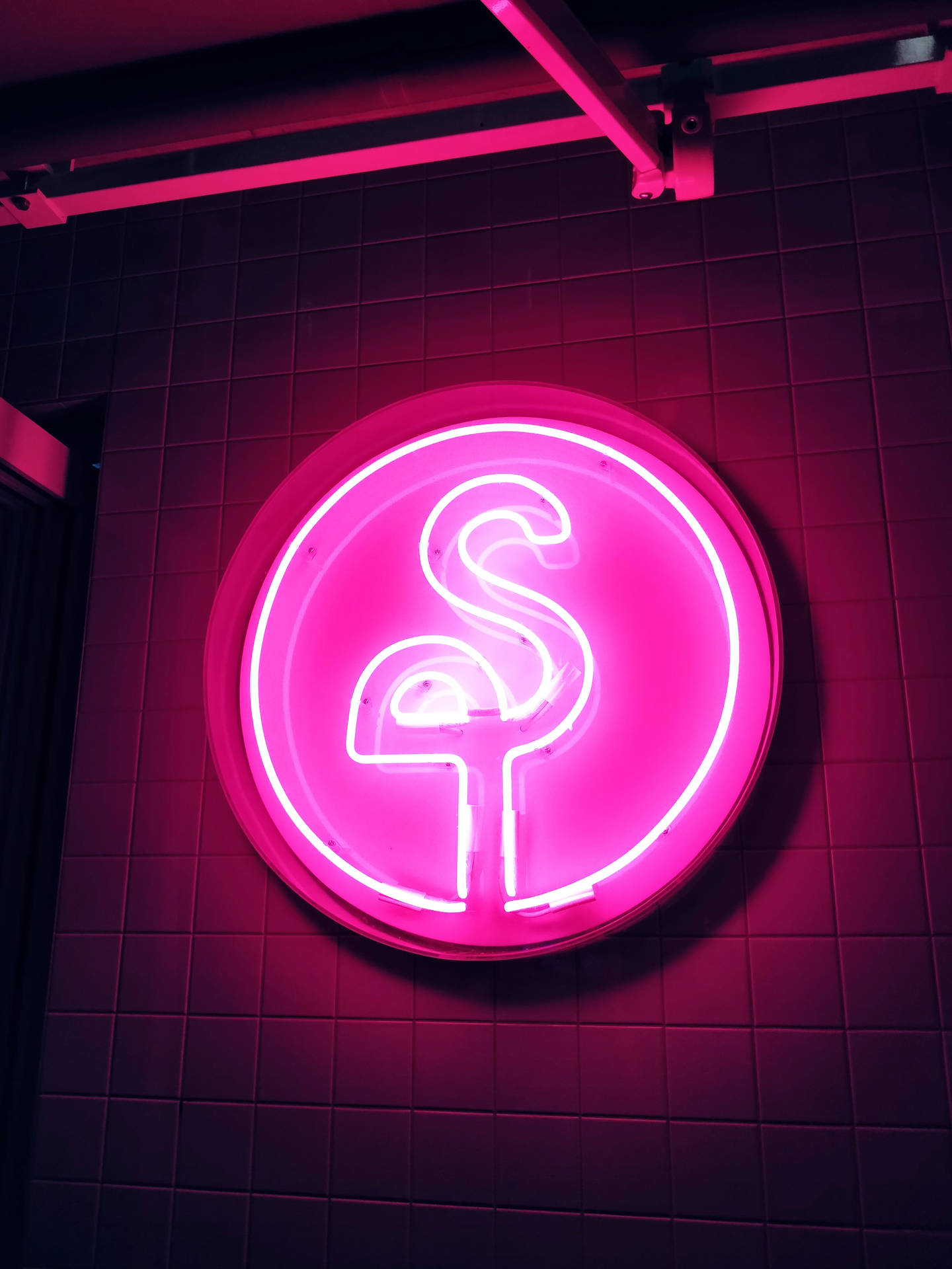 3456X4608 Flamingo Wallpaper and Background
