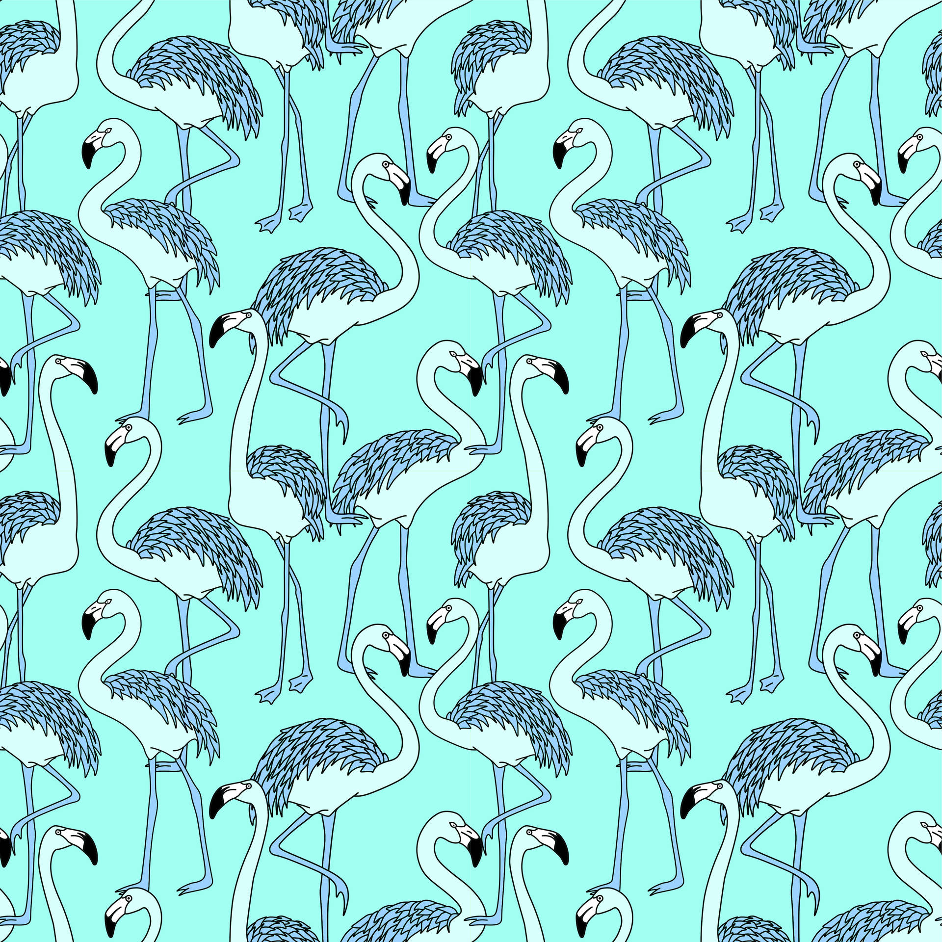 4000X4000 Flamingo Wallpaper and Background