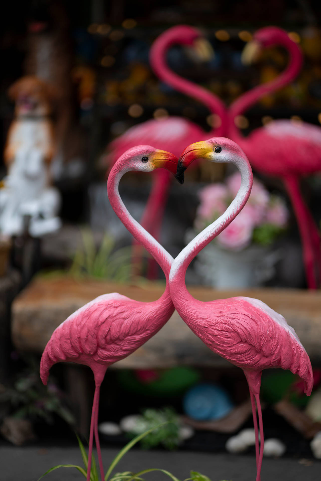 5304X7952 Flamingo Wallpaper and Background