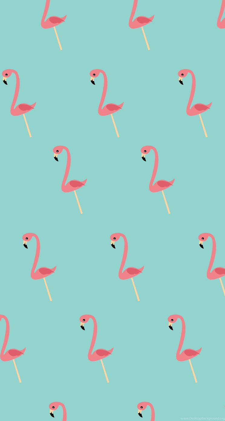 744X1392 Flamingo Wallpaper and Background