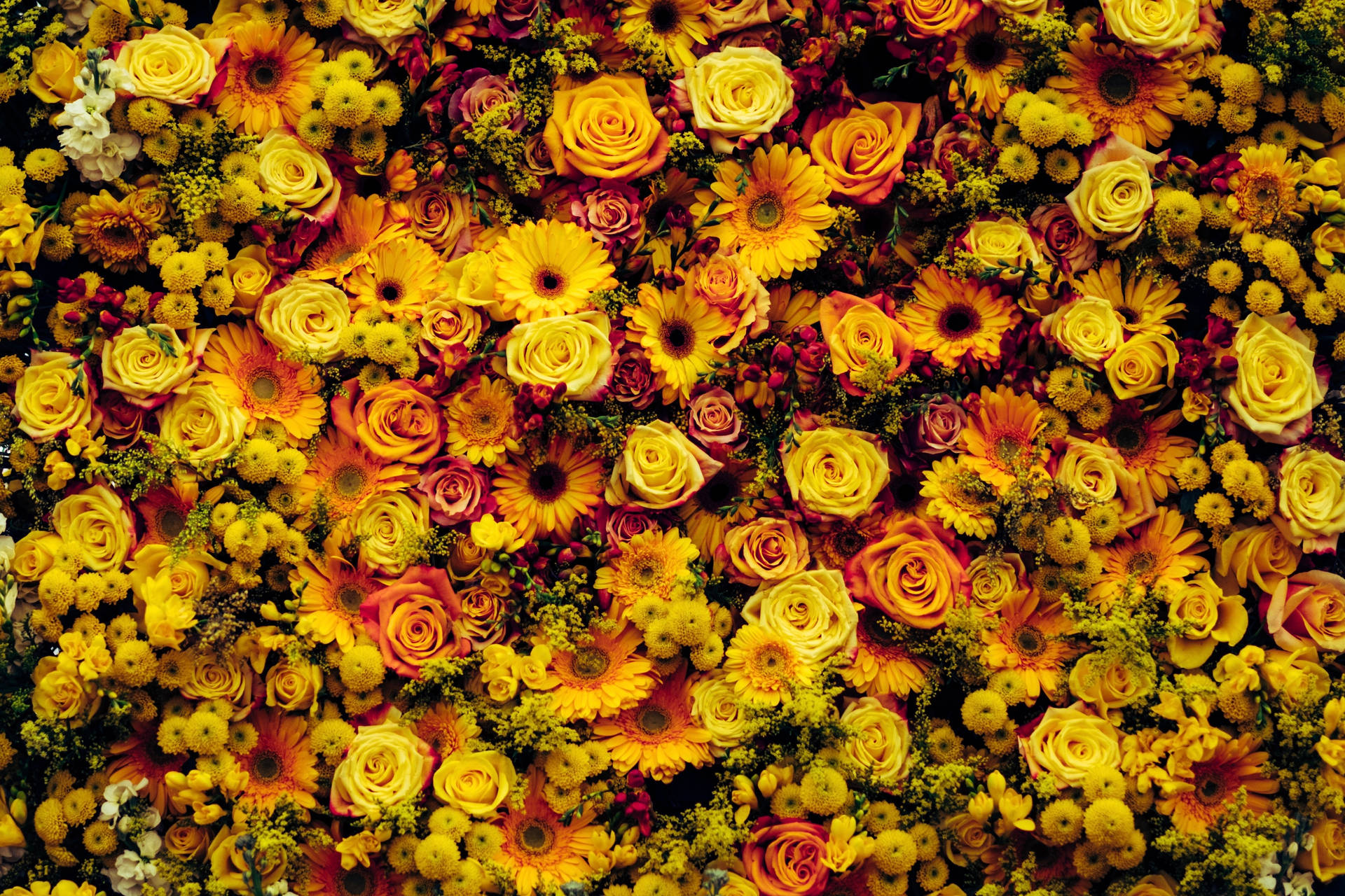 4361X2907 Floral Wallpaper and Background