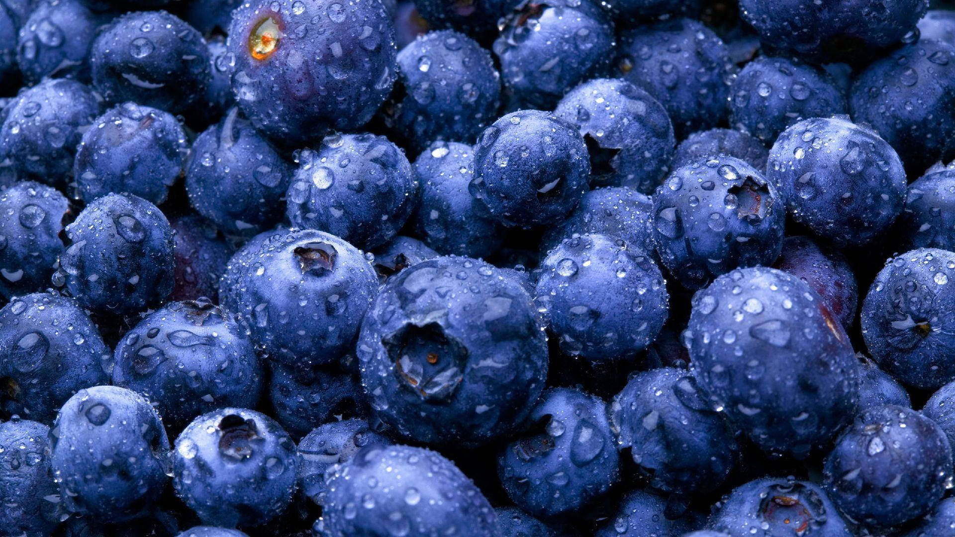 1920X1080 Food Wallpaper and Background