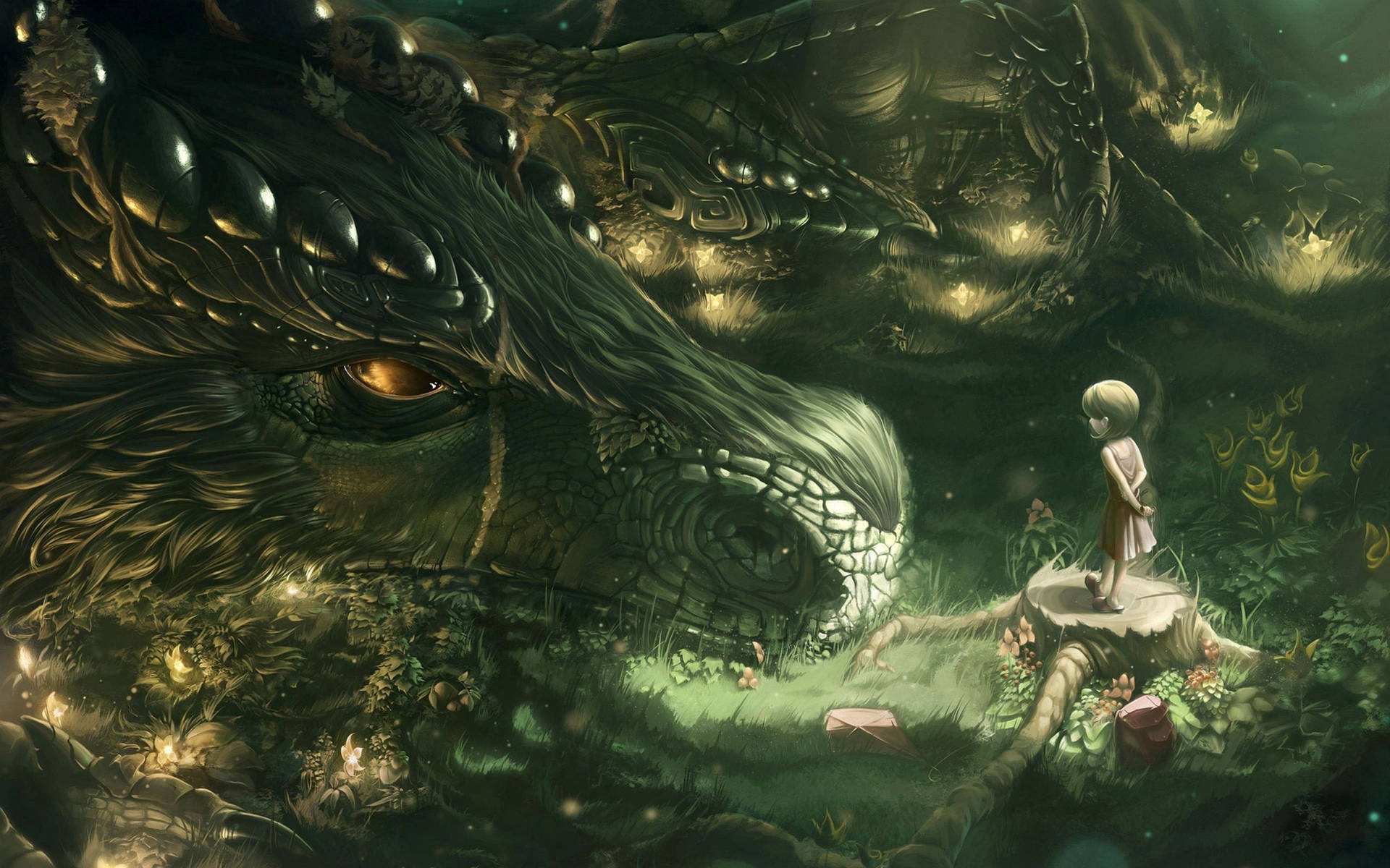 Forest 2560X1600 wallpaper