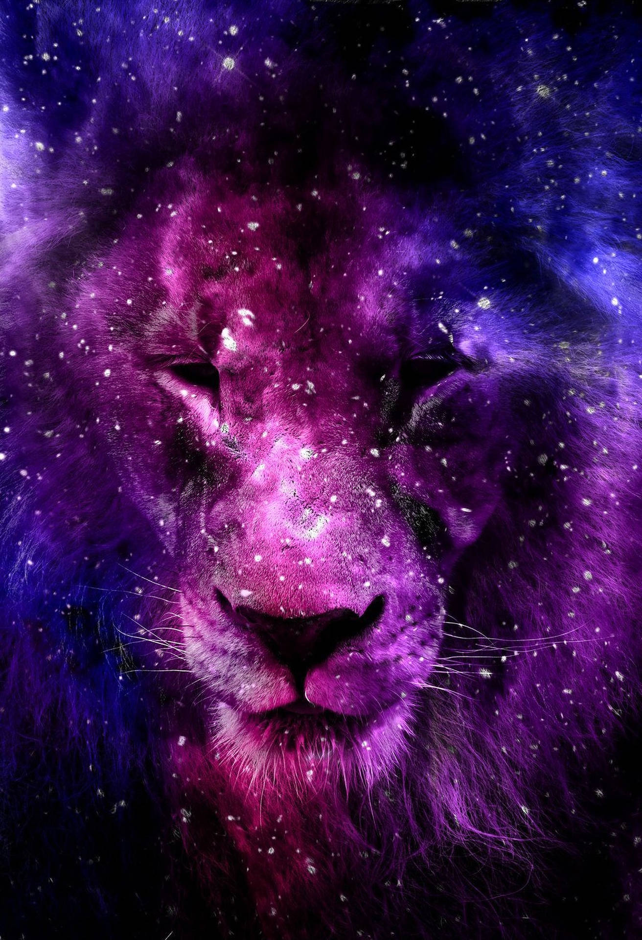 1587X2323 Galaxy Lion Wallpaper and Background