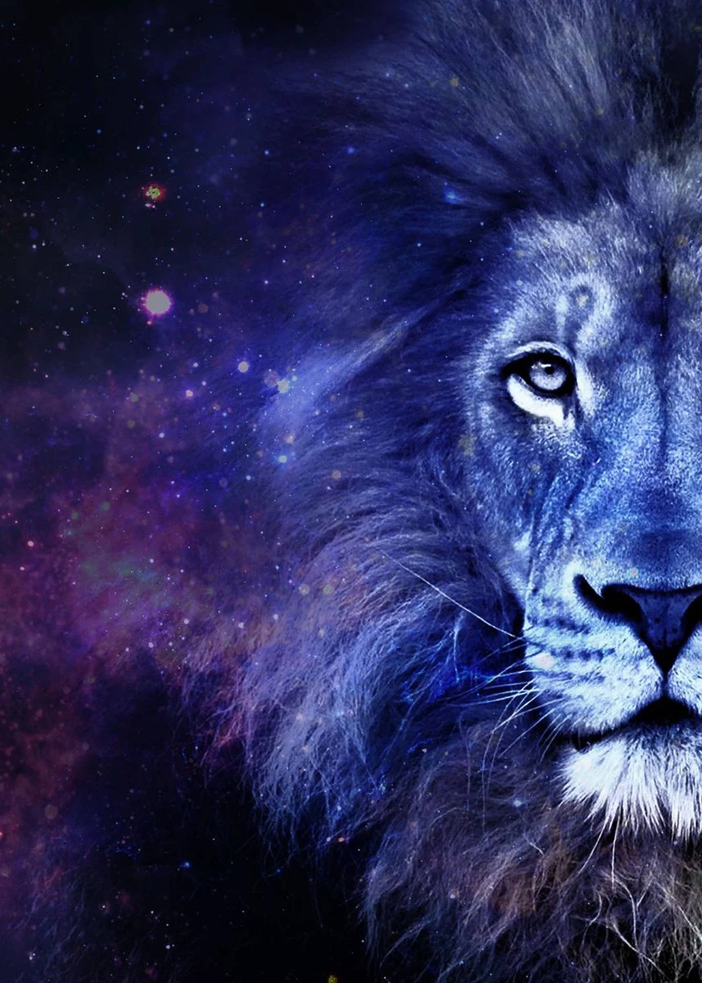 1714X2400 Galaxy Lion Wallpaper and Background
