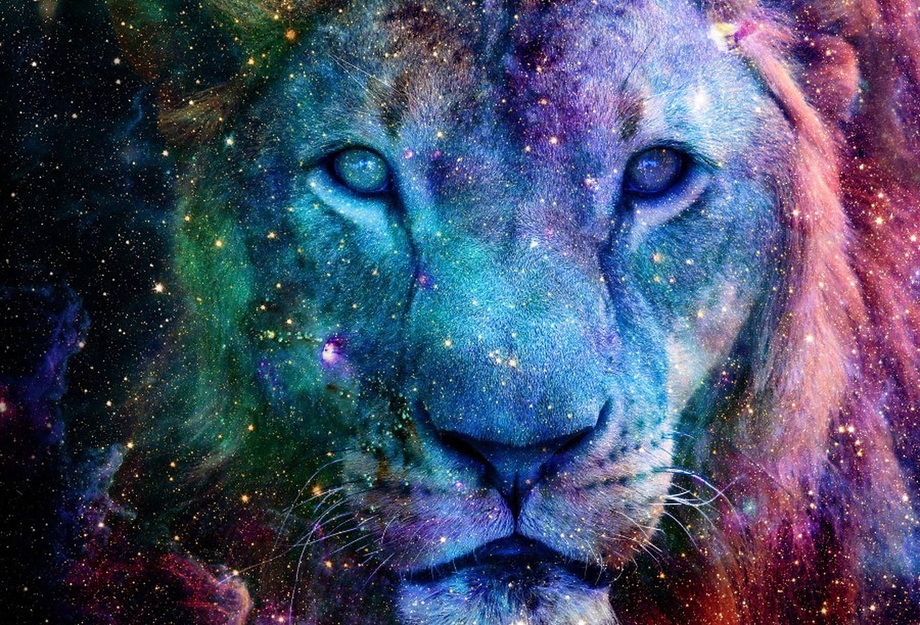 1800X1224 Galaxy Lion Wallpaper and Background