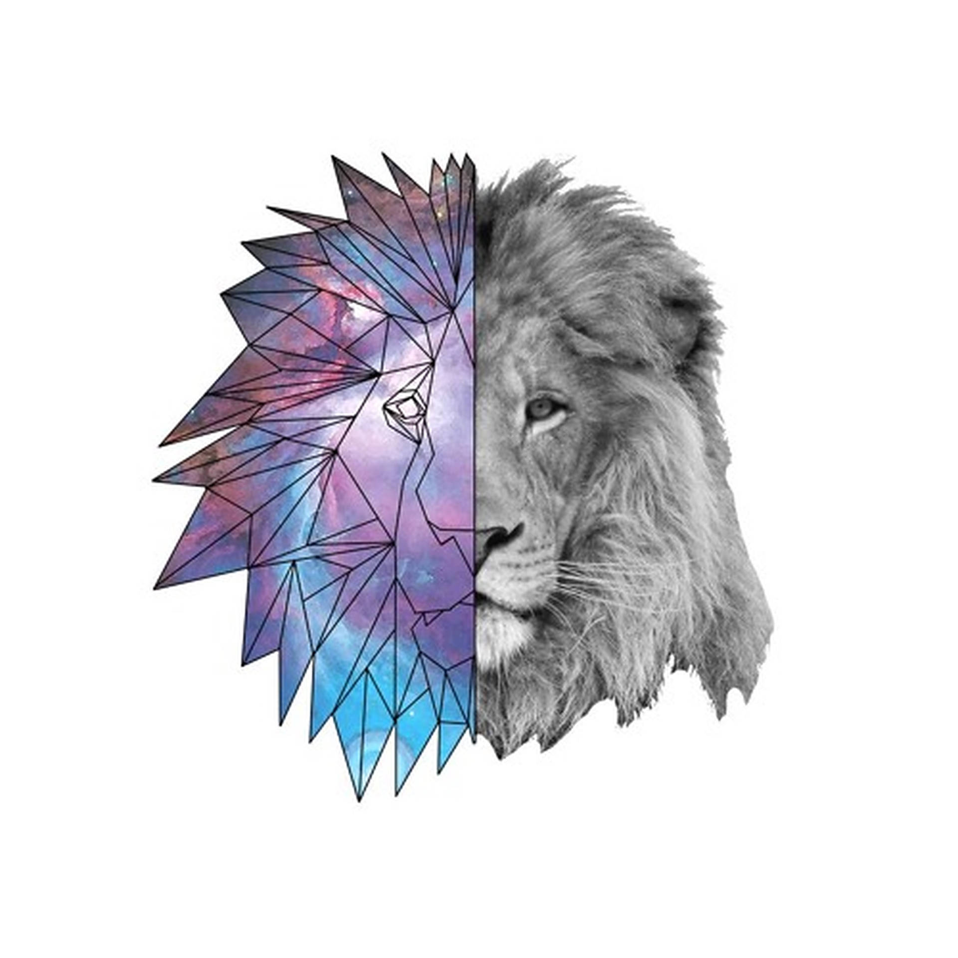 2135X2135 Galaxy Lion Wallpaper and Background