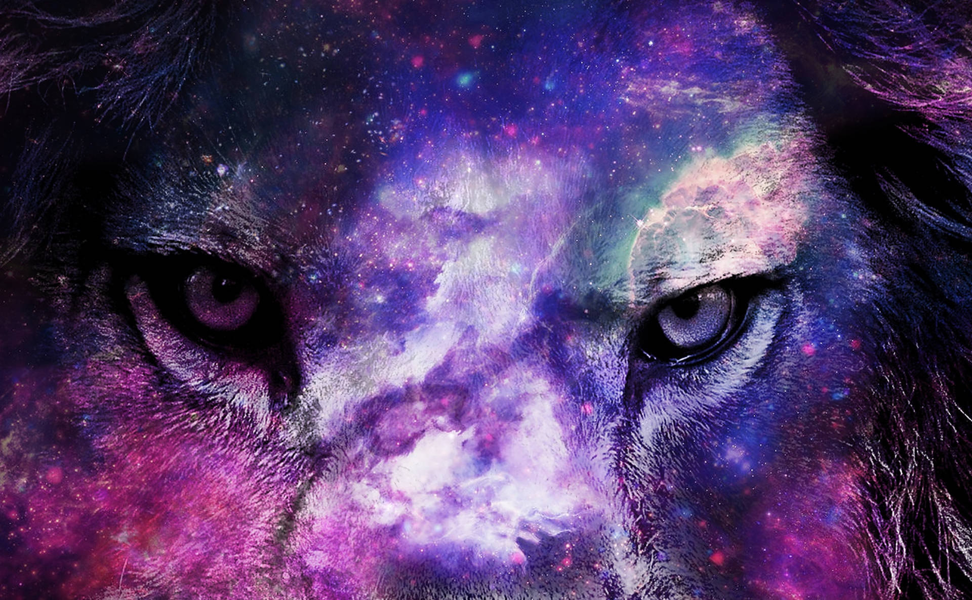 2274X1404 Galaxy Lion Wallpaper and Background