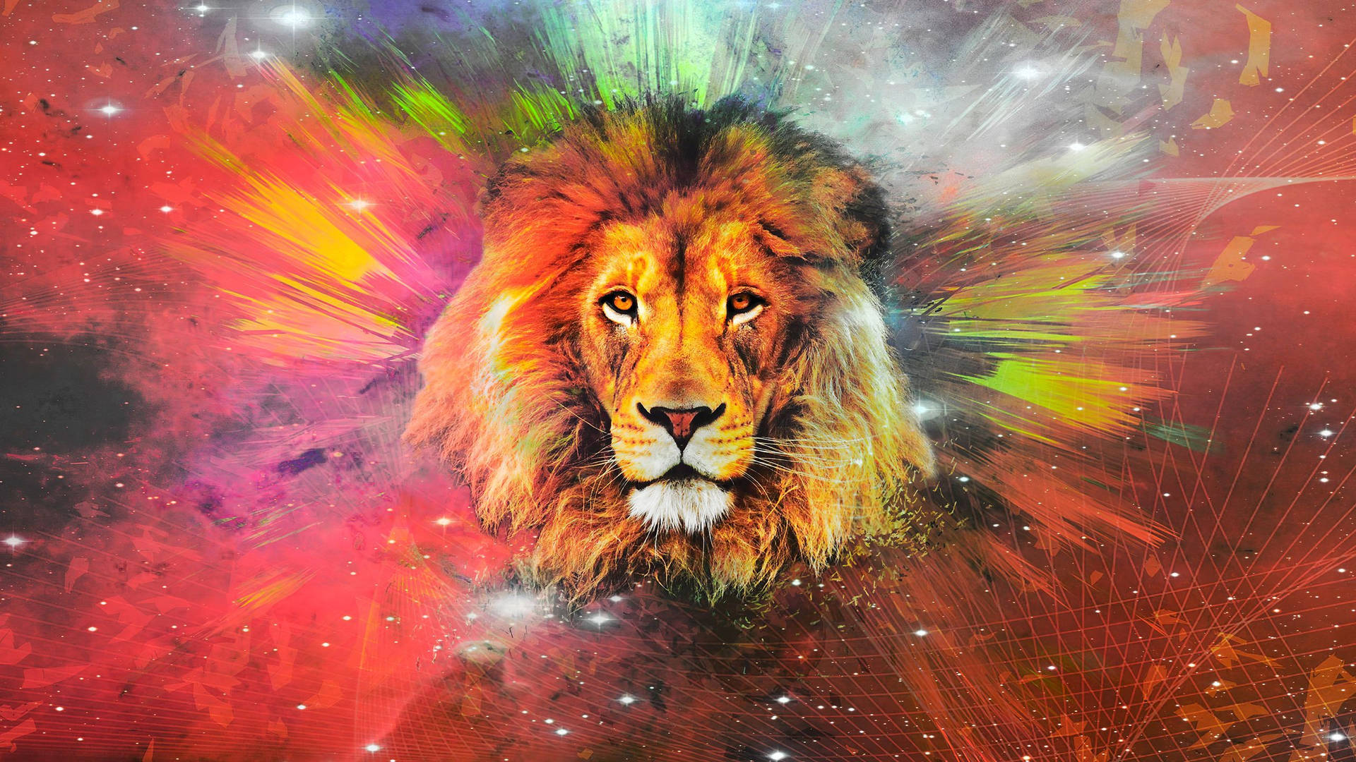 2560X1440 Galaxy Lion Wallpaper and Background