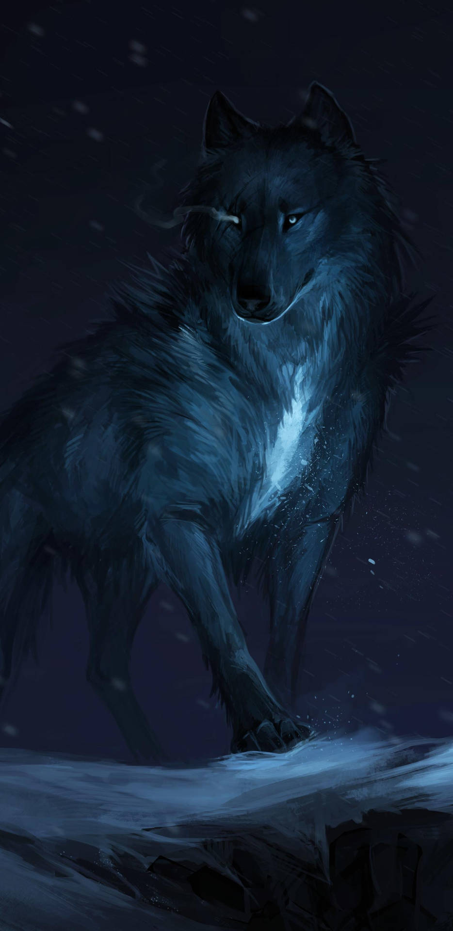 Galaxy Wolf 1440X2960 Wallpaper and Background Image