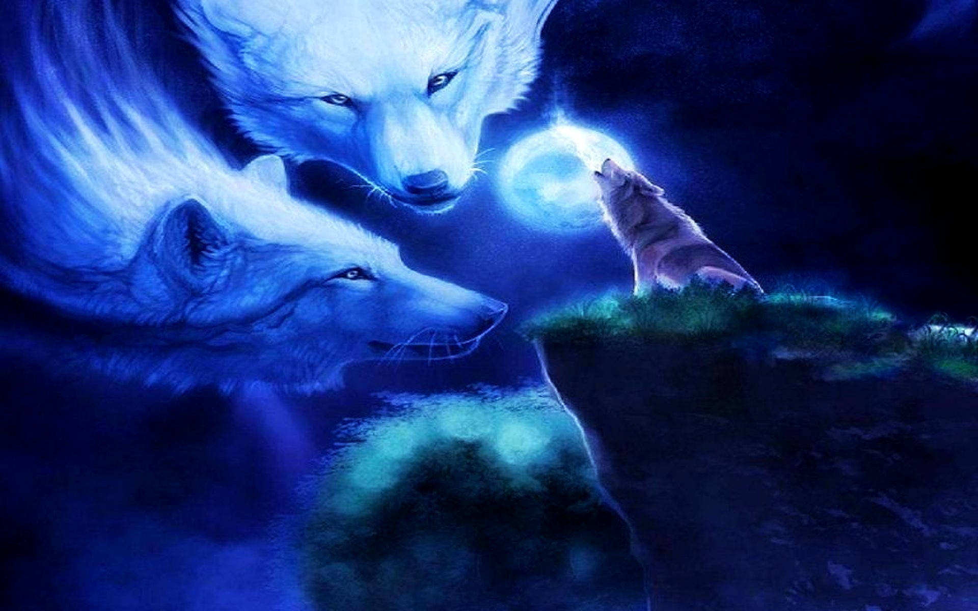 1920X1200 Galaxy Wolf Wallpaper and Background