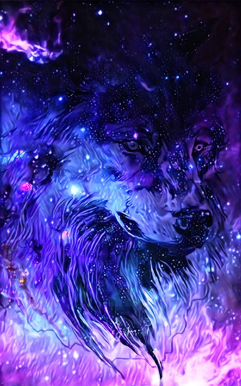Galaxy Wolf 808X1292 Wallpaper and Background Image