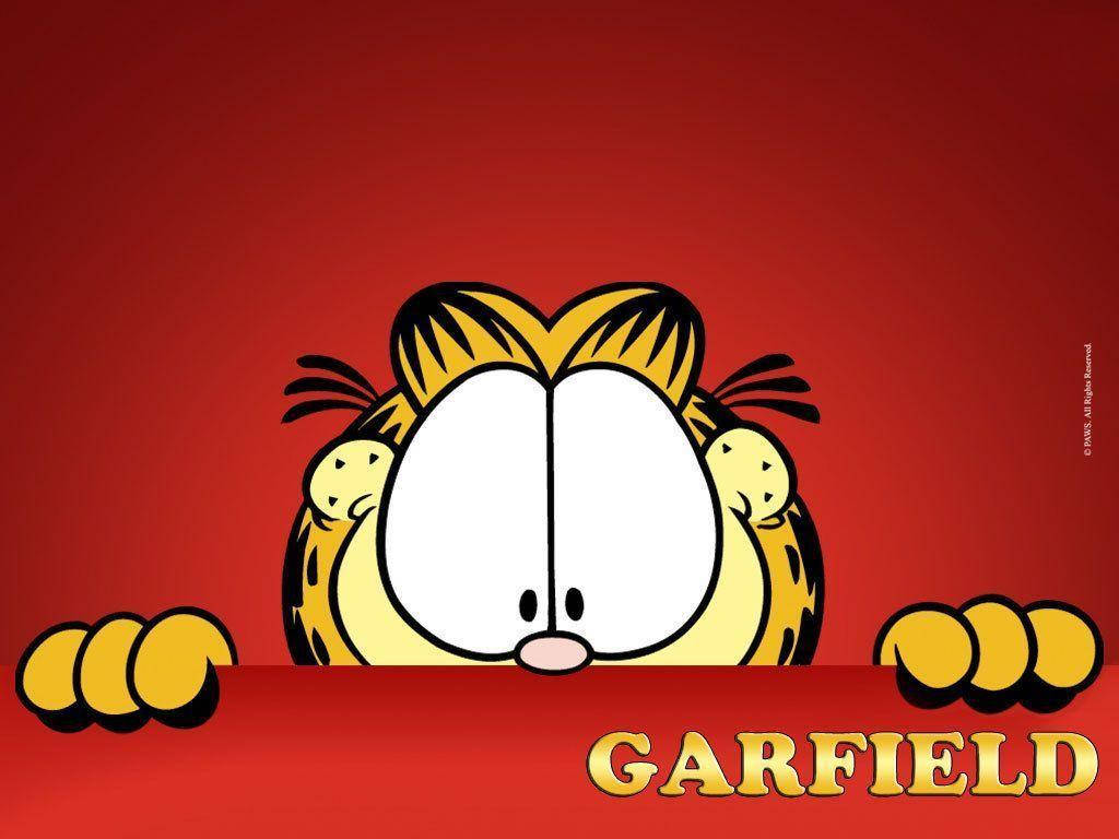 1024X768 Garfield Wallpaper and Background