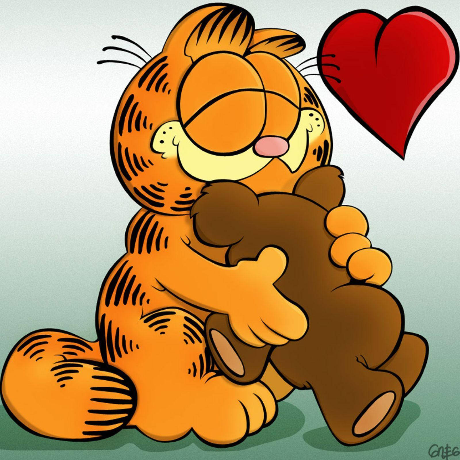 1600X1600 Garfield Wallpaper and Background