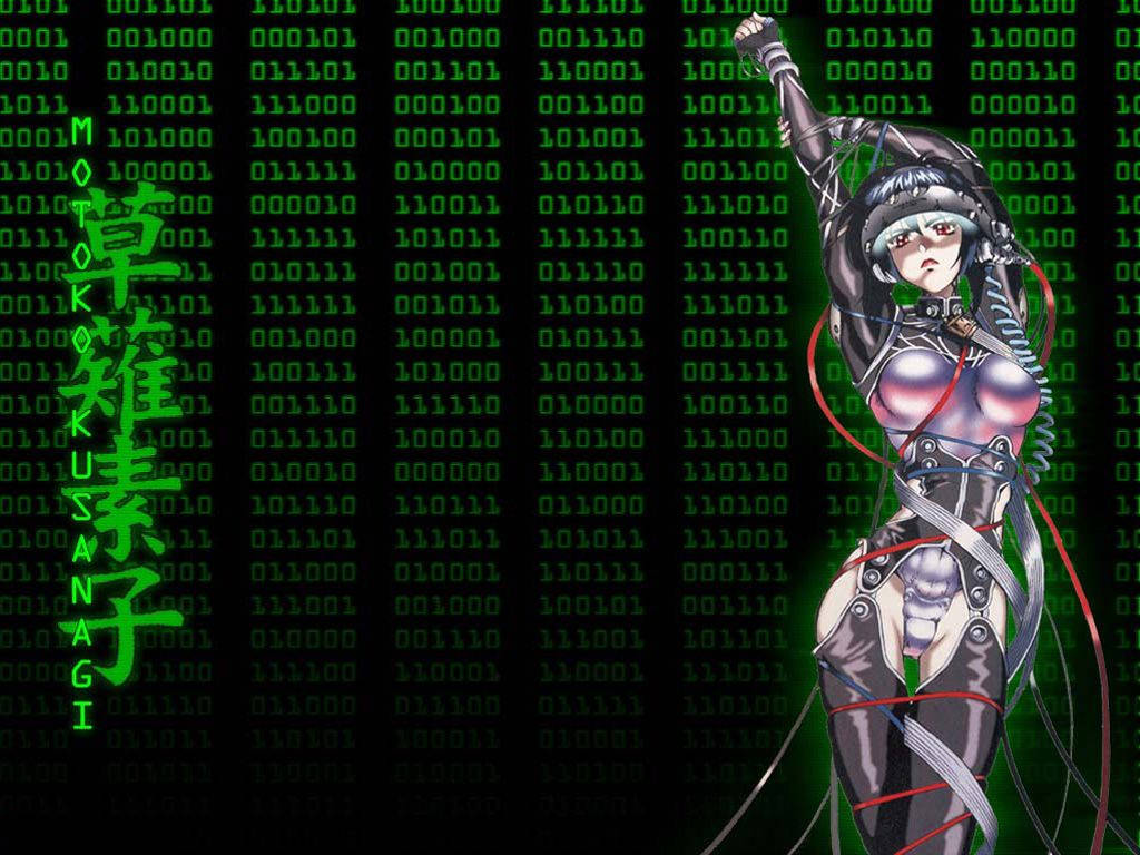 1024X768 Ghost In The Shell Wallpaper and Background