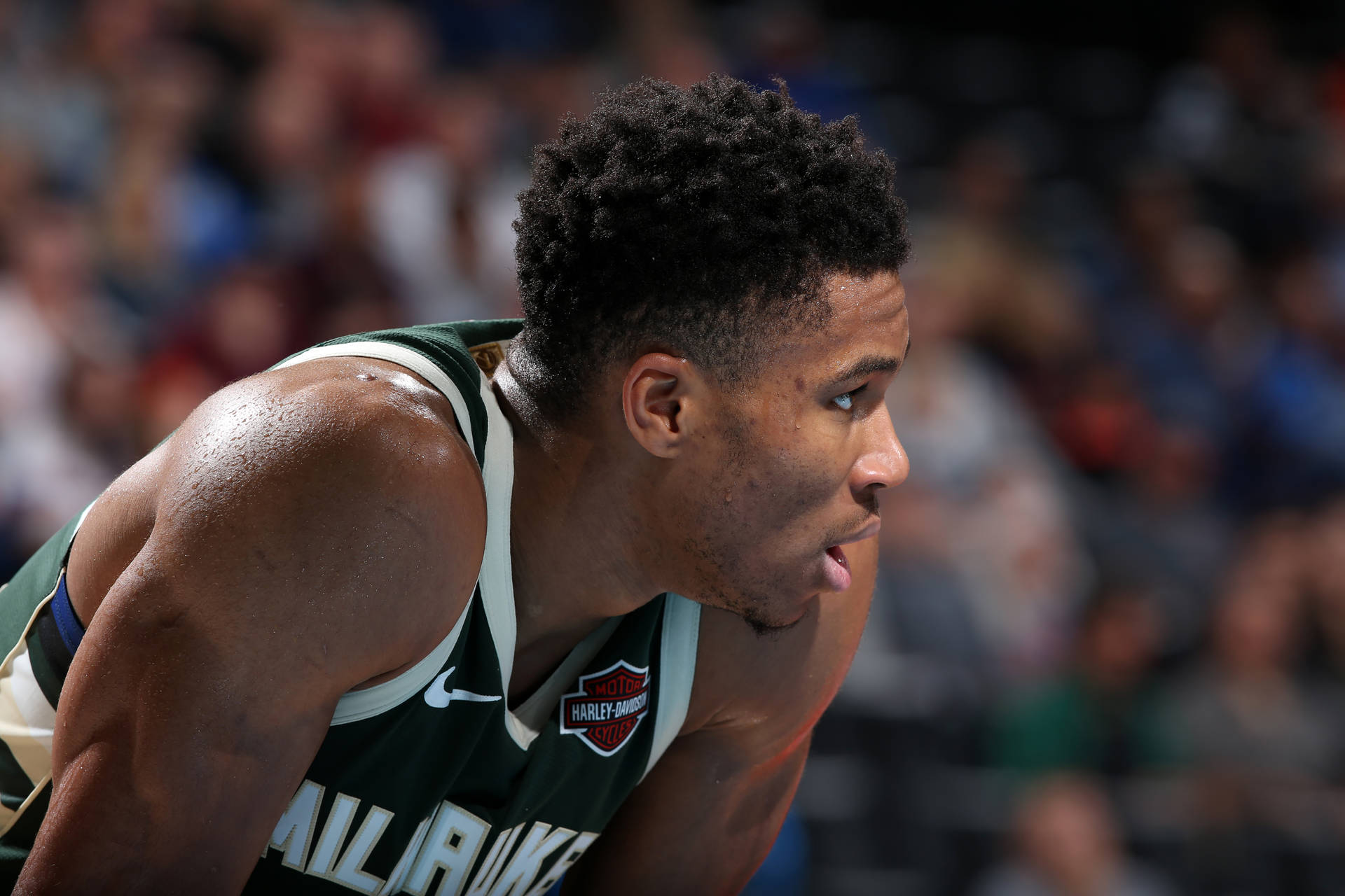 Giannis Antetokounmpo 3200X2133 Wallpaper and Background Image