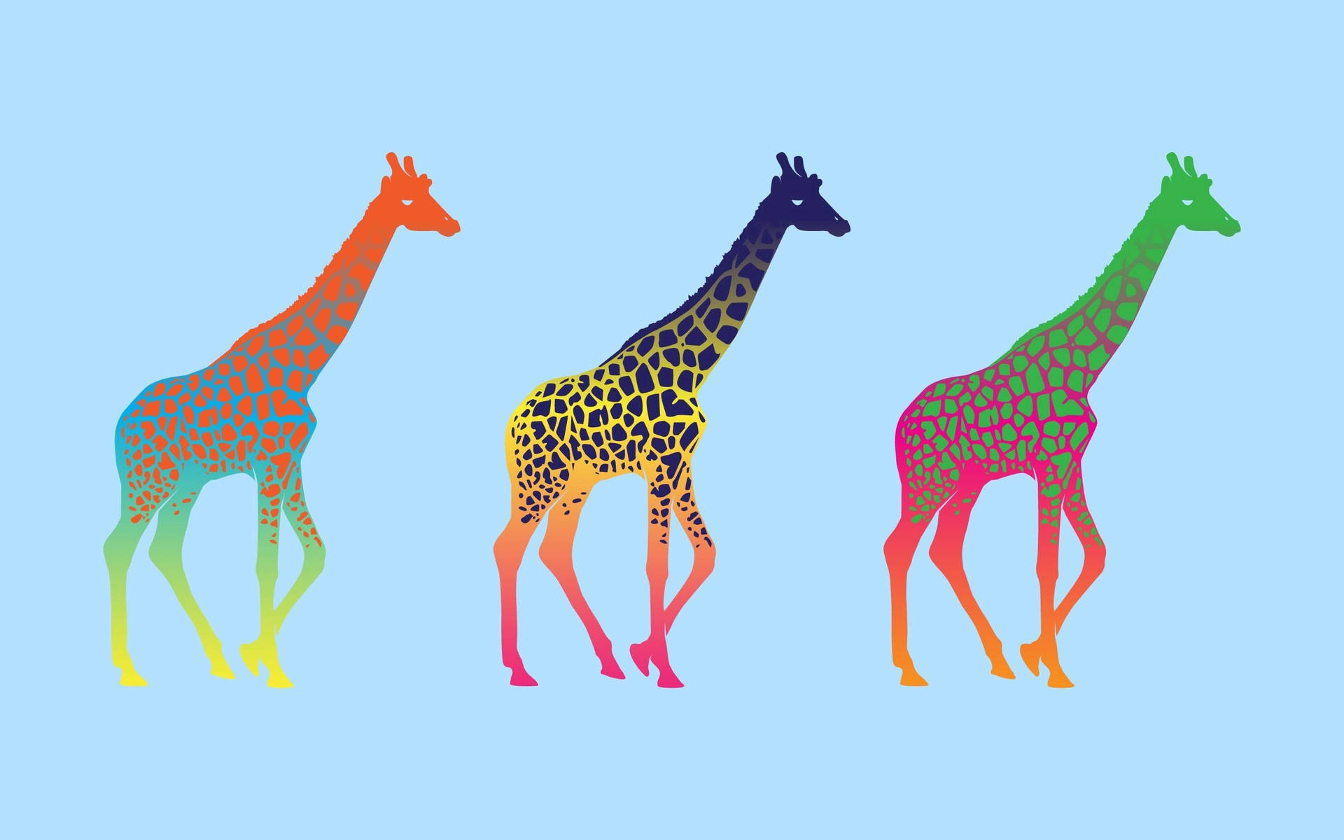 2560X1600 Giraffe Wallpaper and Background