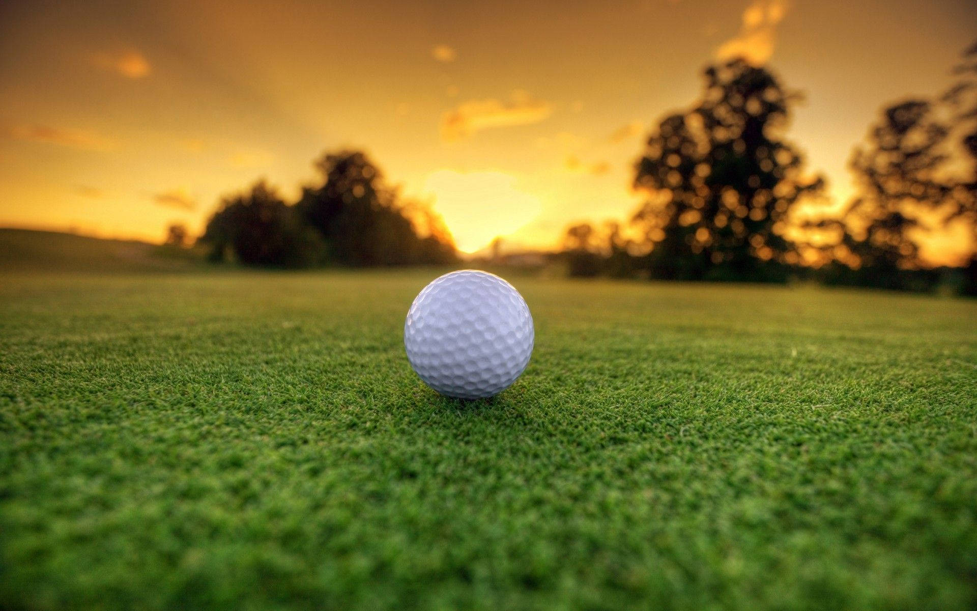Golf 1920X1200 Wallpaper and Background Image