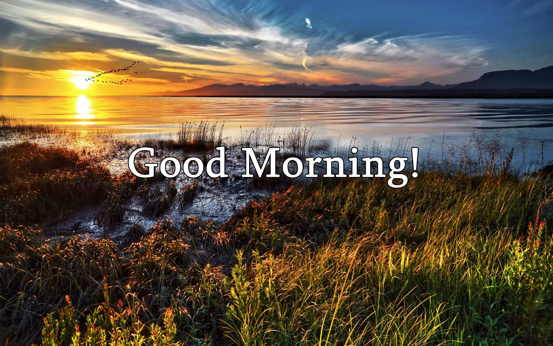Good Morning 1920X1200 Wallpaper and Background Image