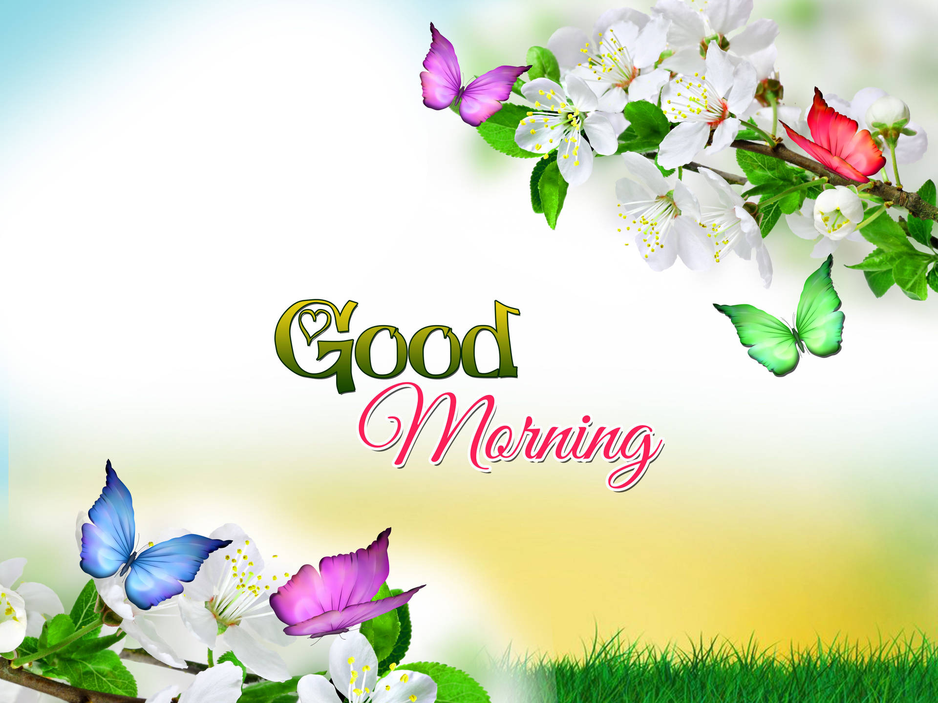 6000X4500 Good Morning Wallpaper and Background