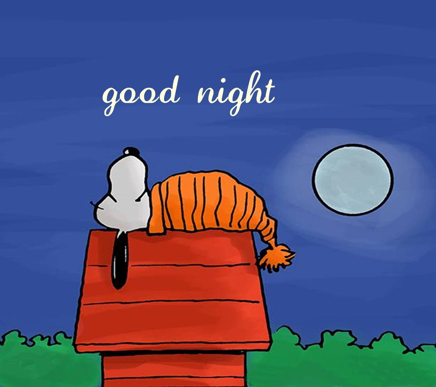1440X1280 Good Night Wallpaper and Background
