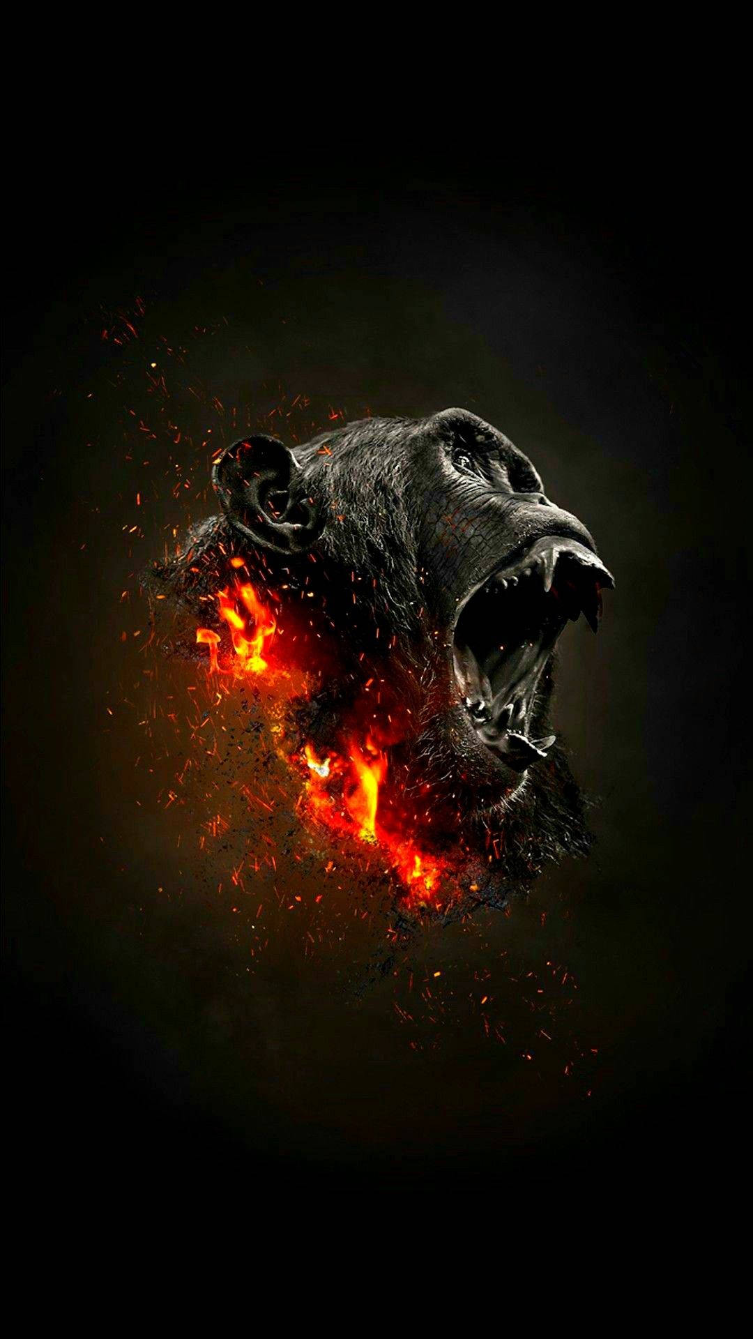 Gorilla 1080X1920 Wallpaper and Background Image