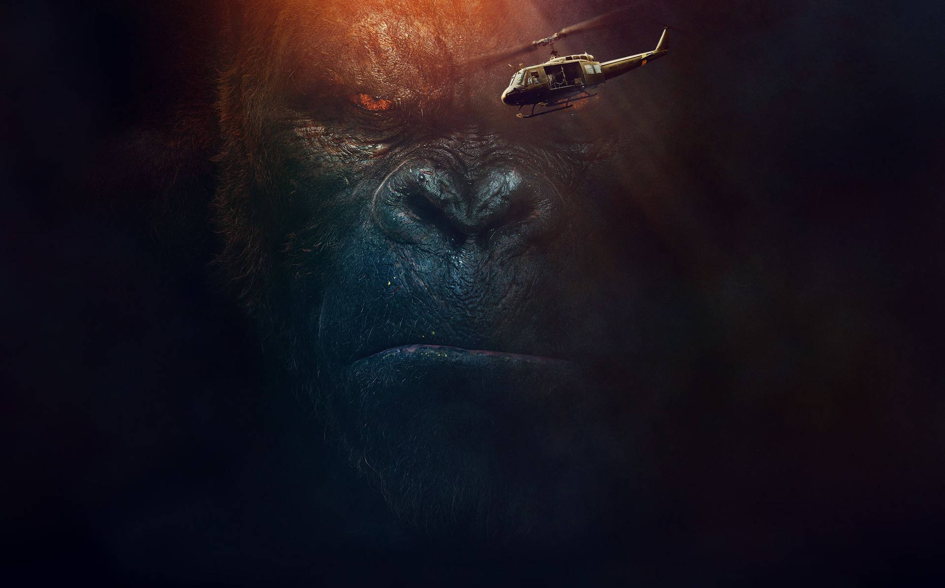 Gorilla 2000X1245 Wallpaper and Background Image