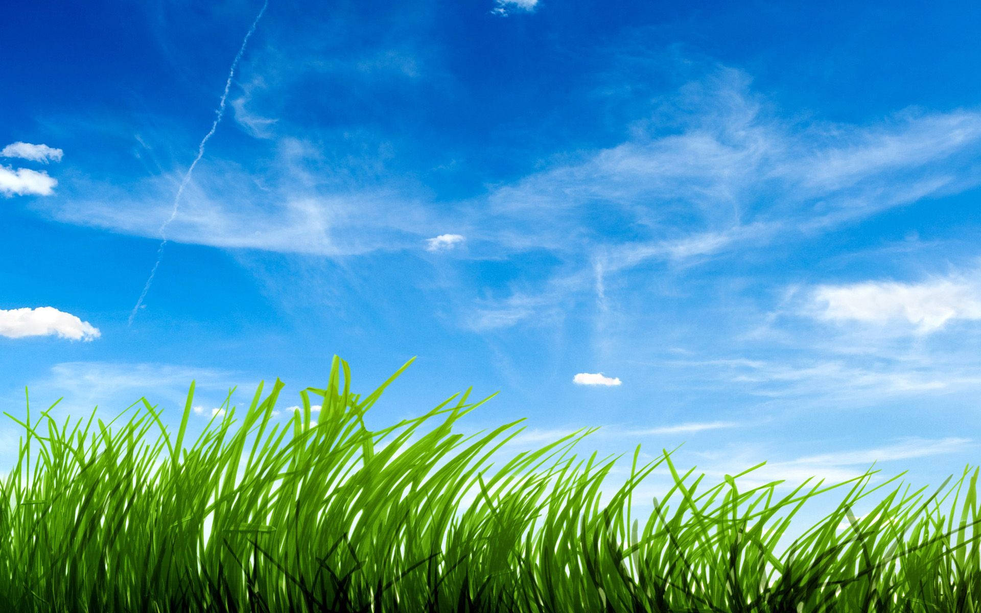 1920X1200 Grass Wallpaper and Background
