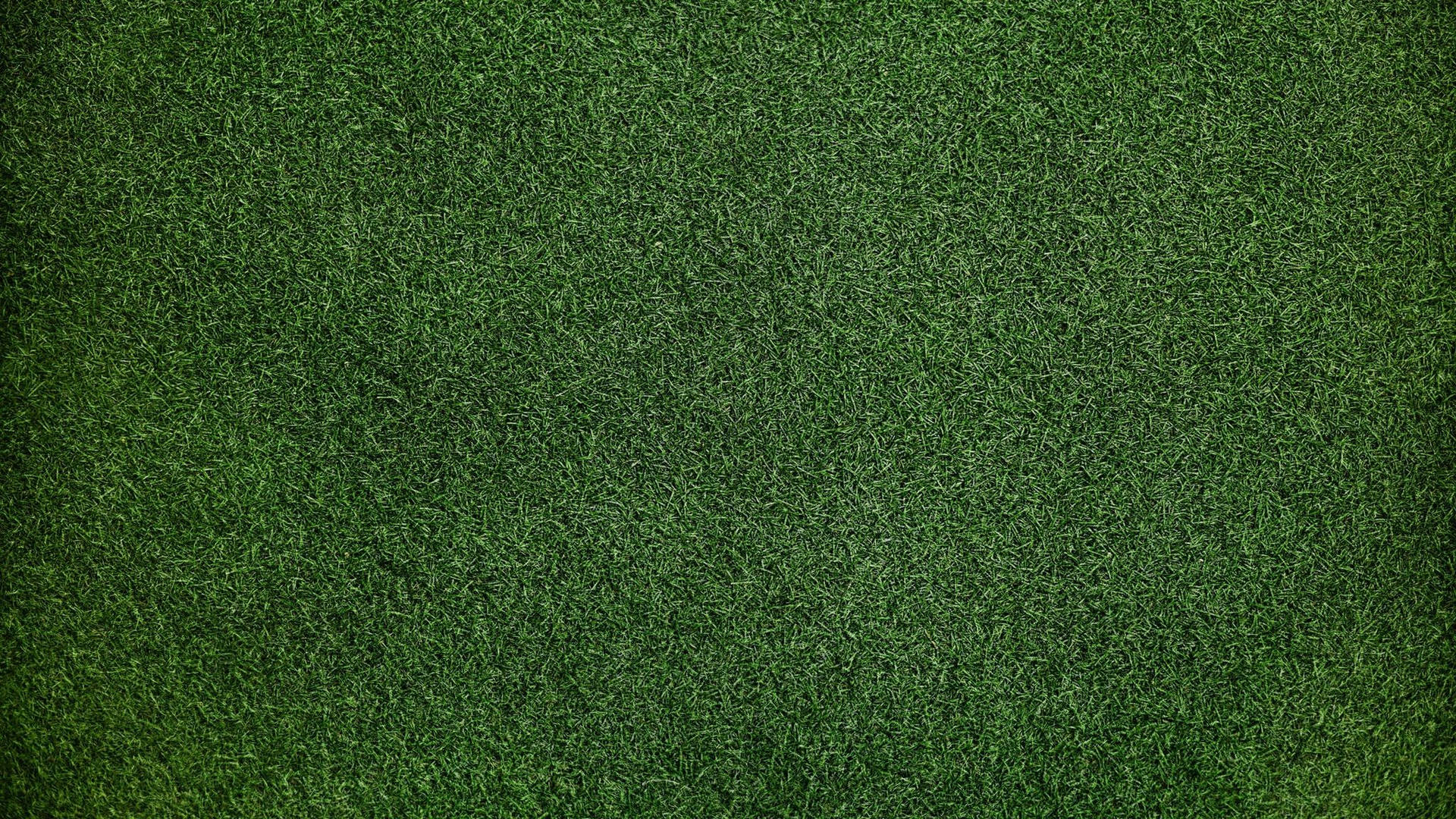 2048X1152 Grass Wallpaper and Background